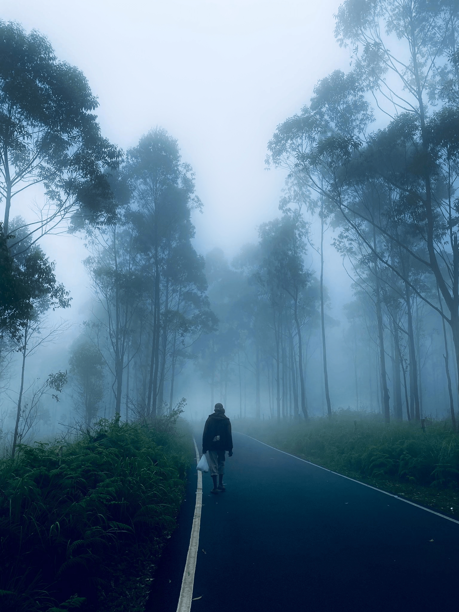 Solitude In Nature