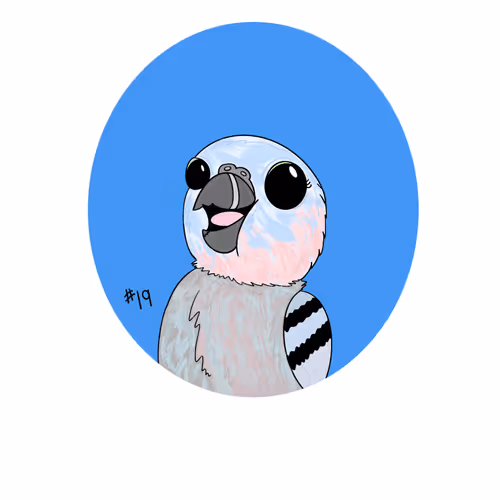 Bird #19
