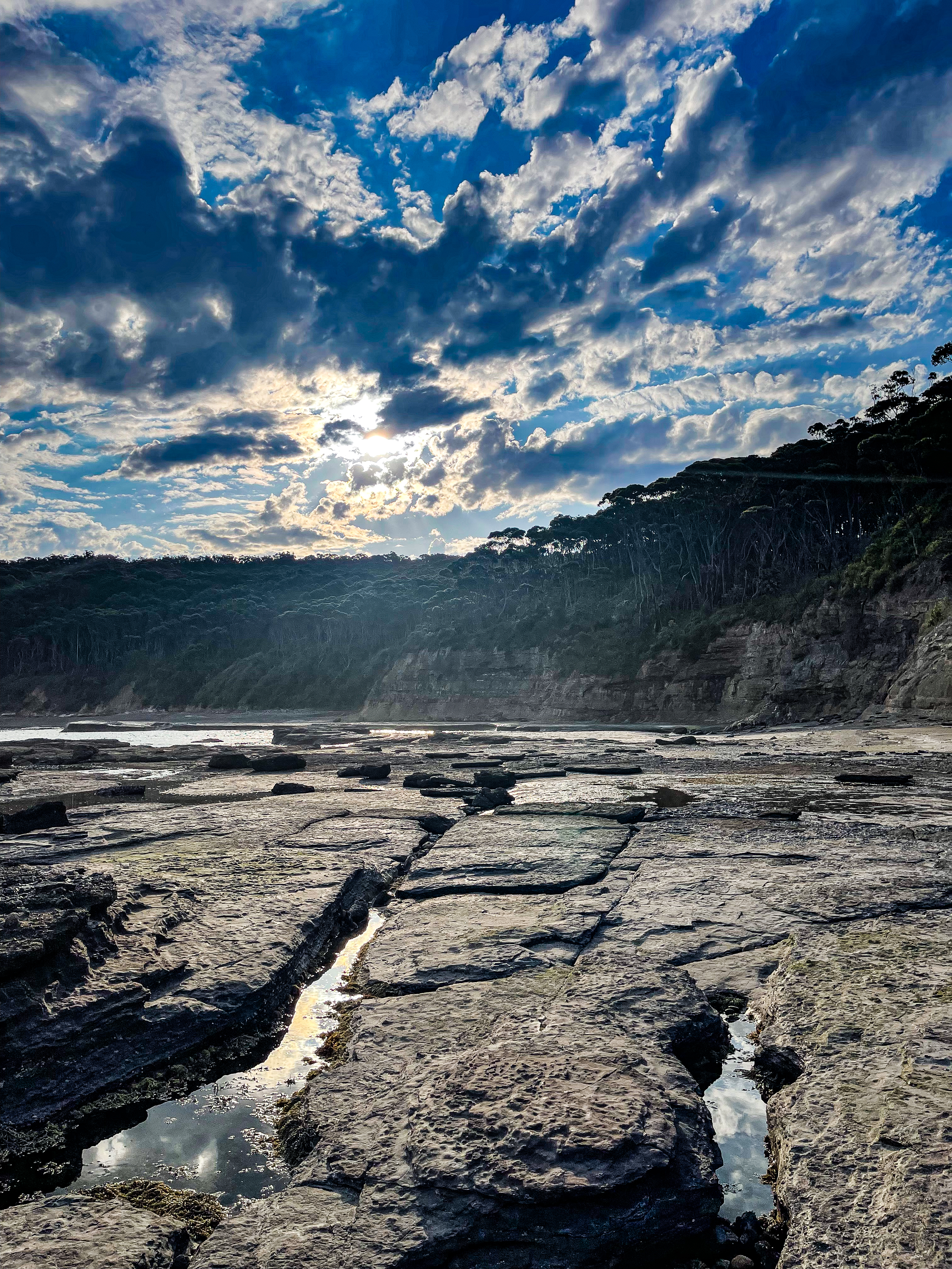 Wild Australia #18
