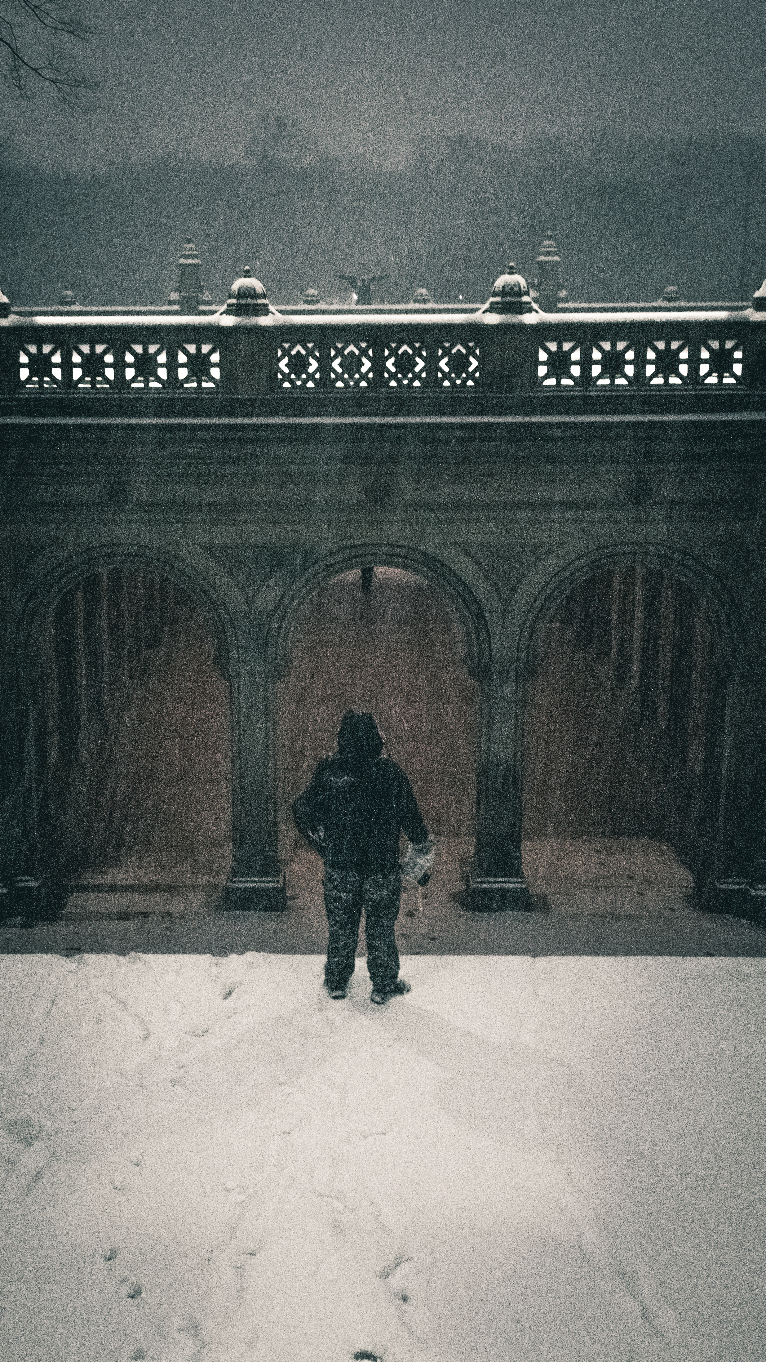 Snow Days In NYC - 26