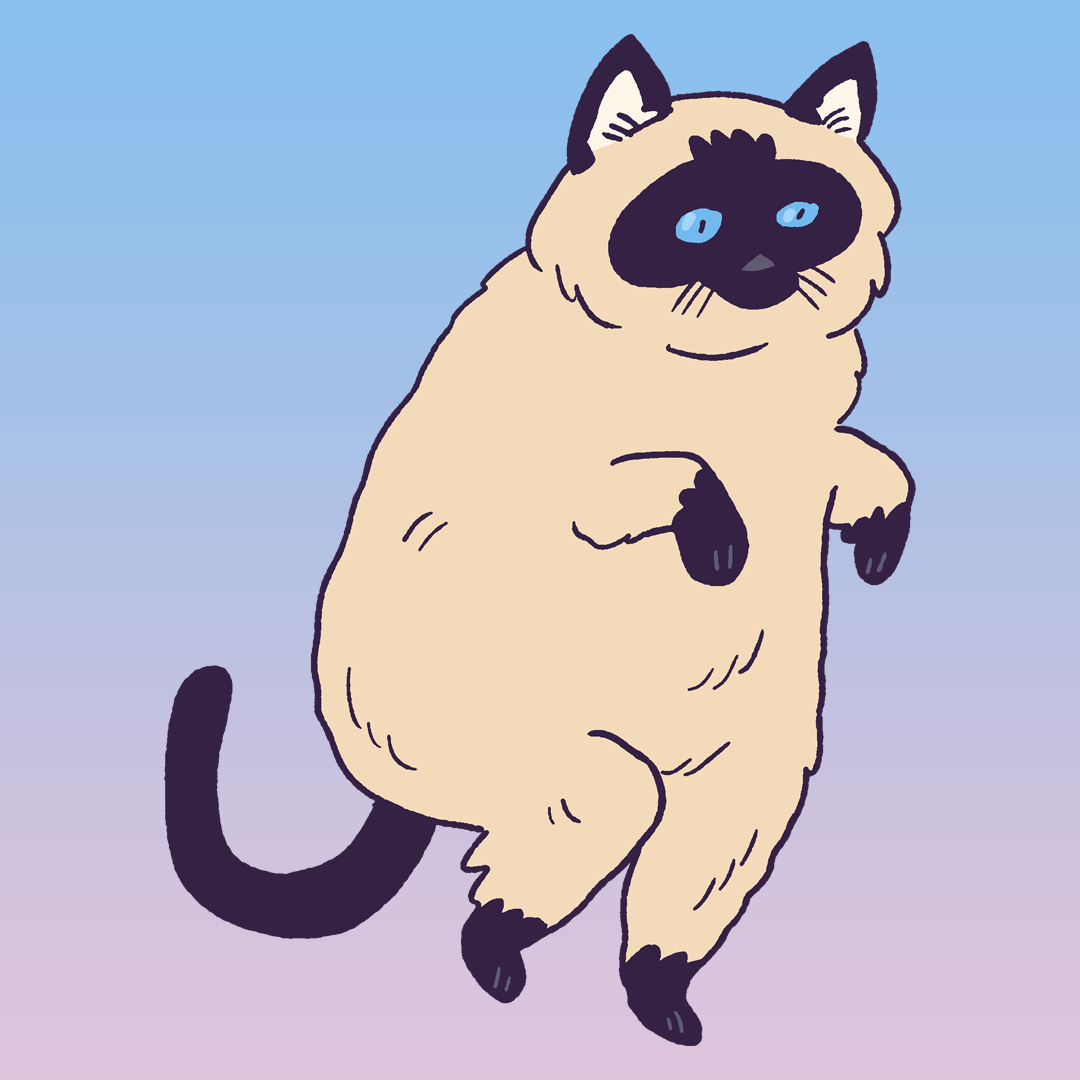 Siamese Sneaking #1534