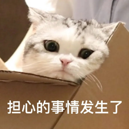 sss10