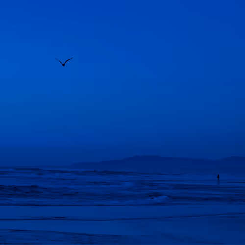 beyond the shores