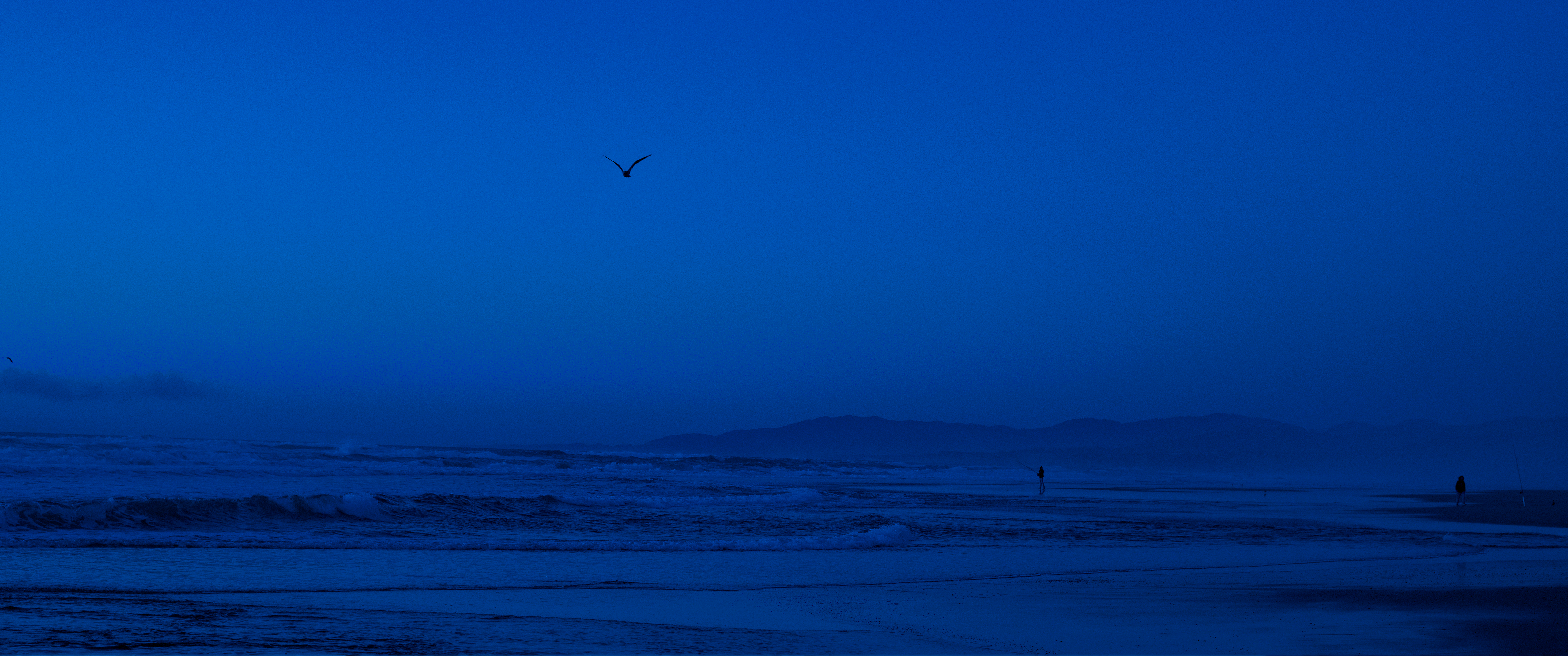 beyond the shores