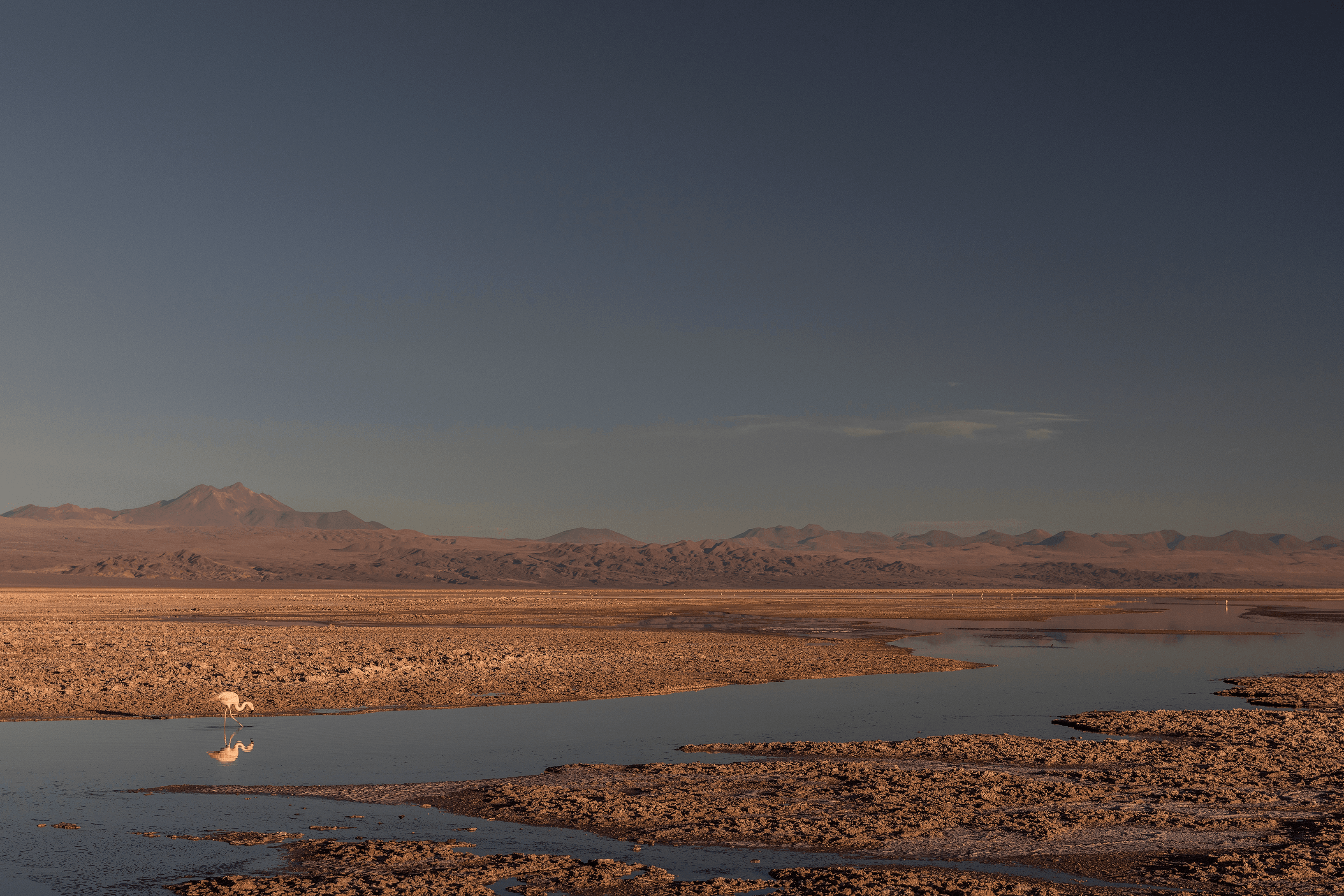 Atacama - 10