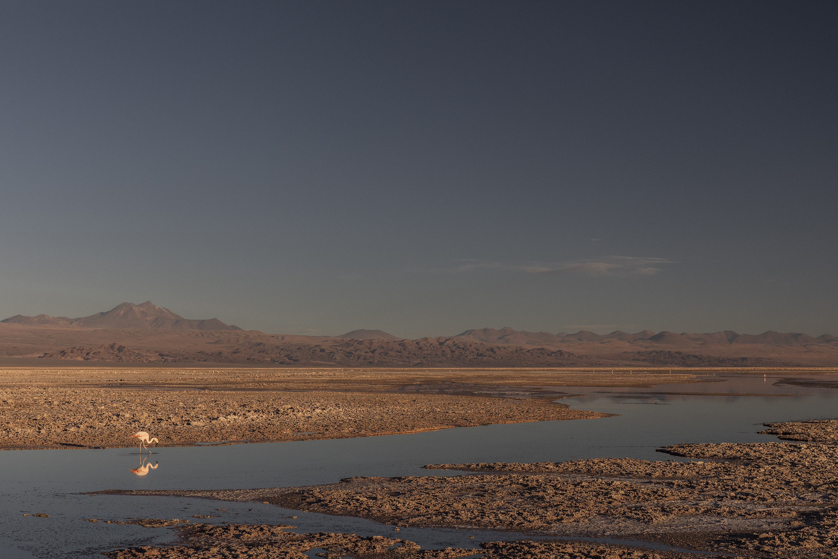 Atacama - 10