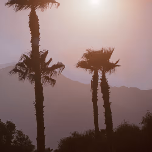 LA Love Letter - LA Love Letter 308