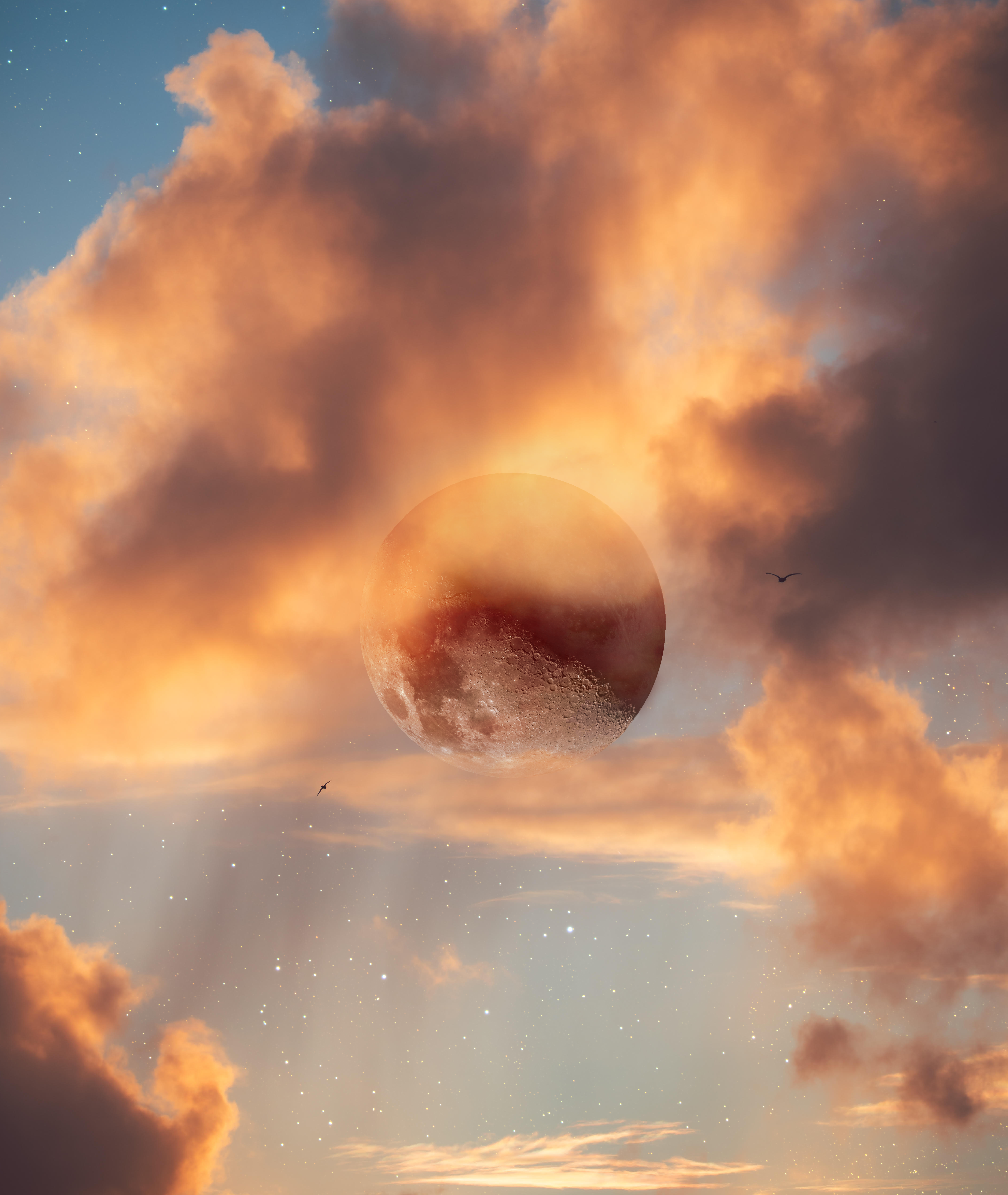 Refuge Dreams