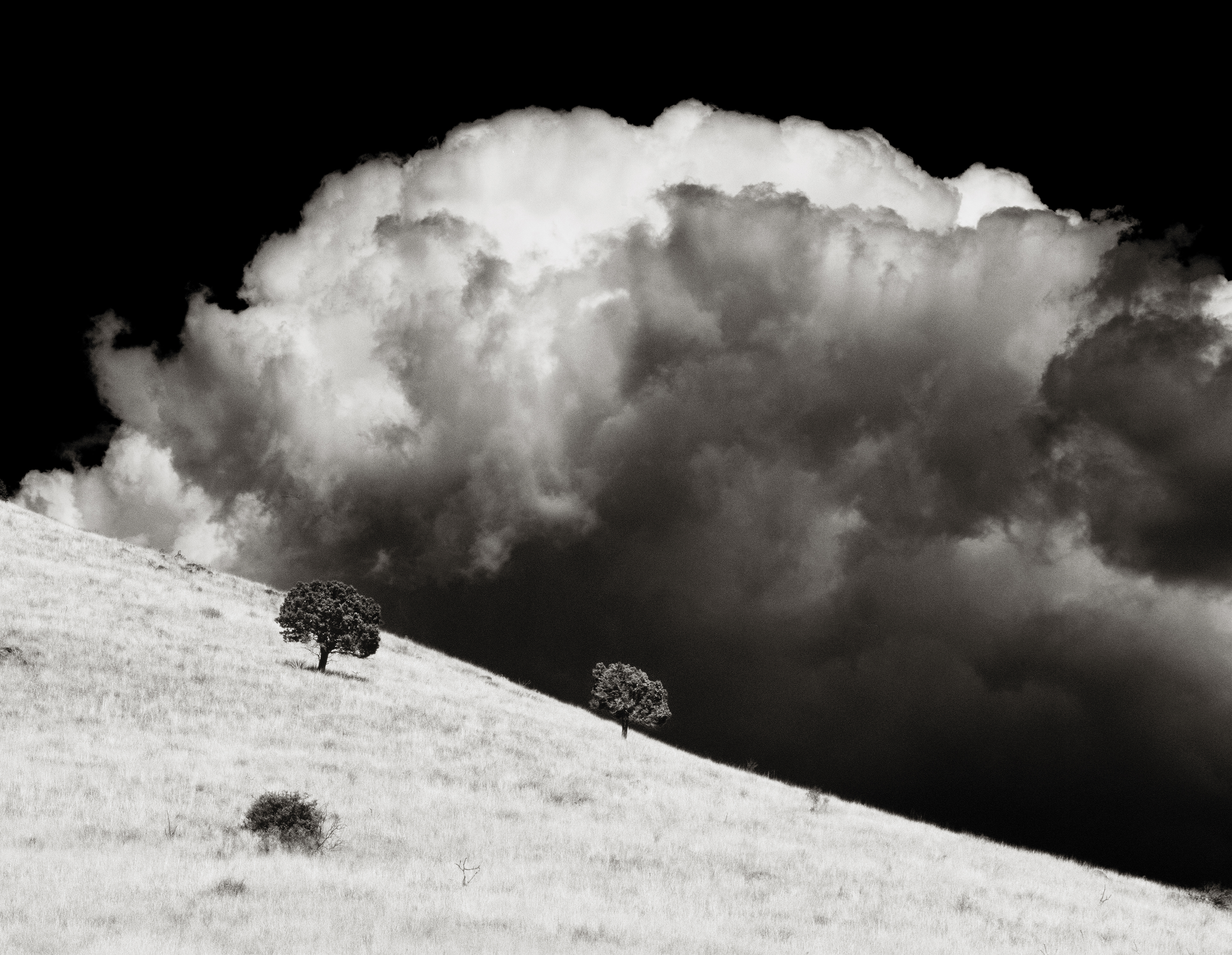 HWY 118, Fort Davis, Tx, 2015
