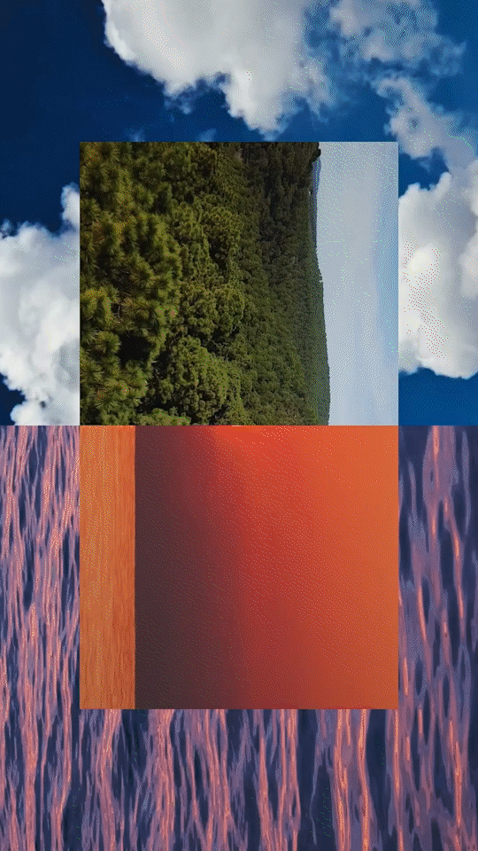 Motion Nature 02