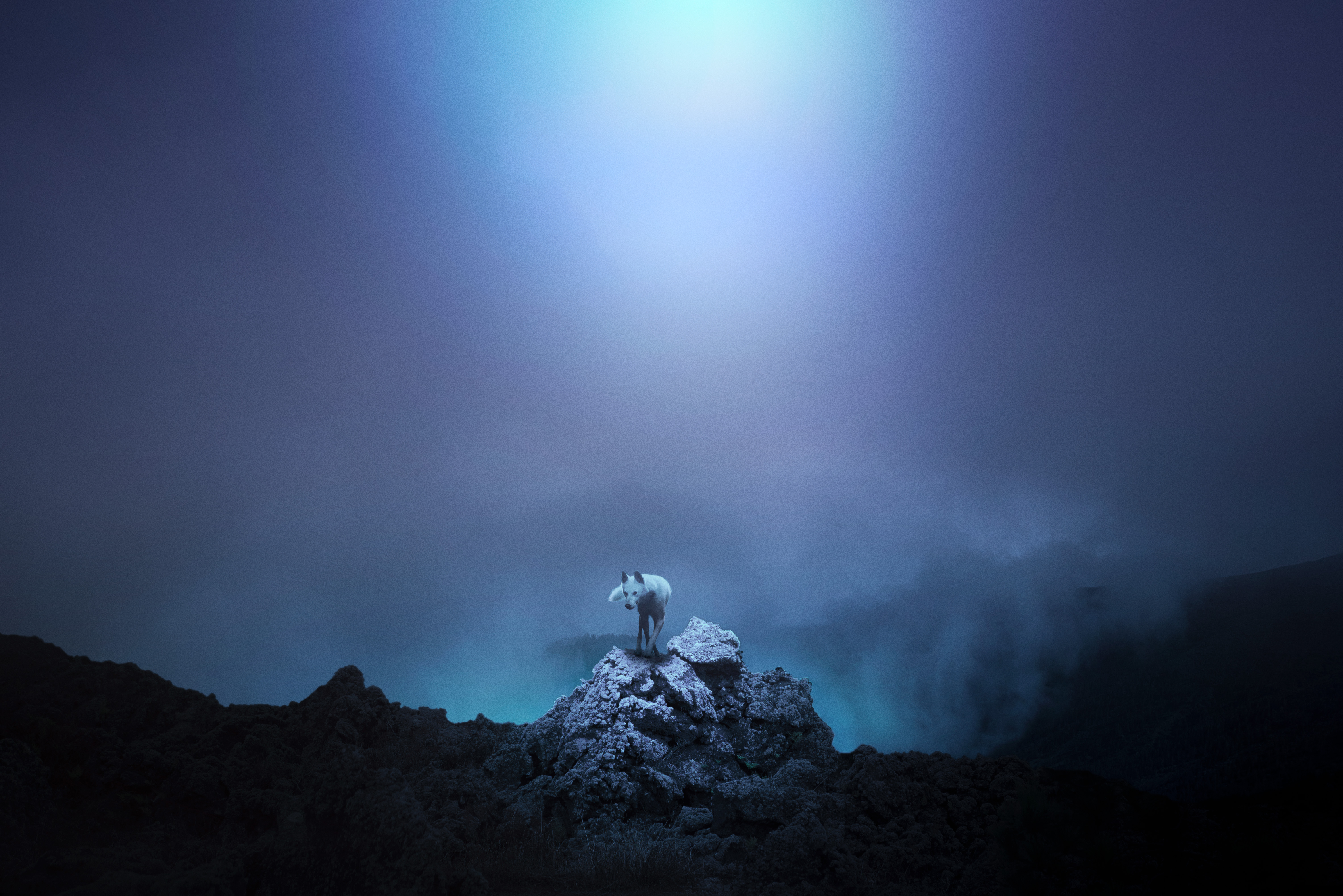 Running With Wolves