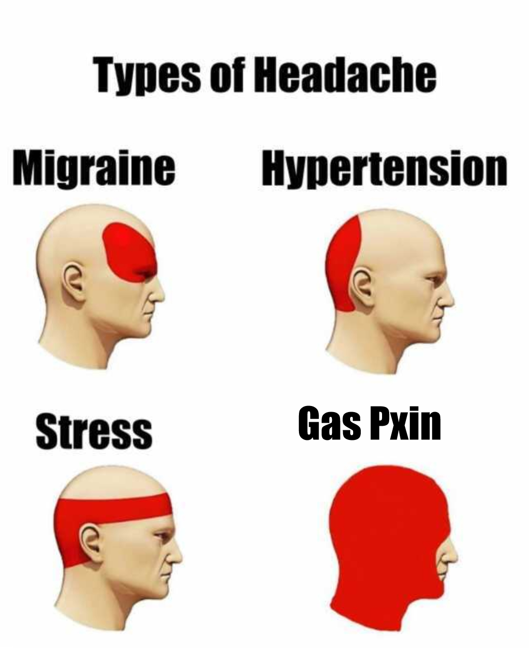 005 - NFT Gas Pxin