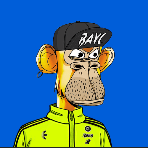 Bored Ape Into The Metaverse #5