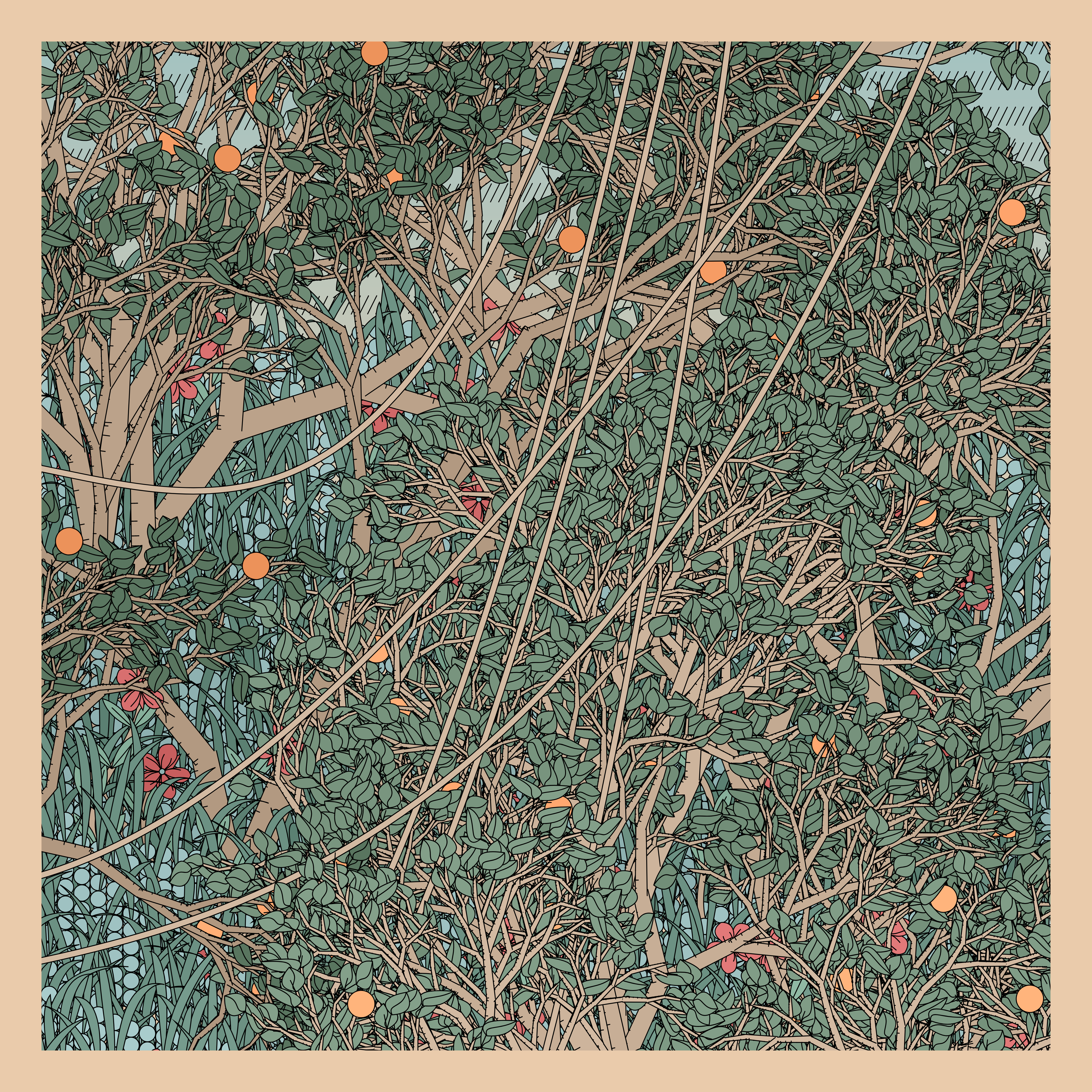 Entangled #316