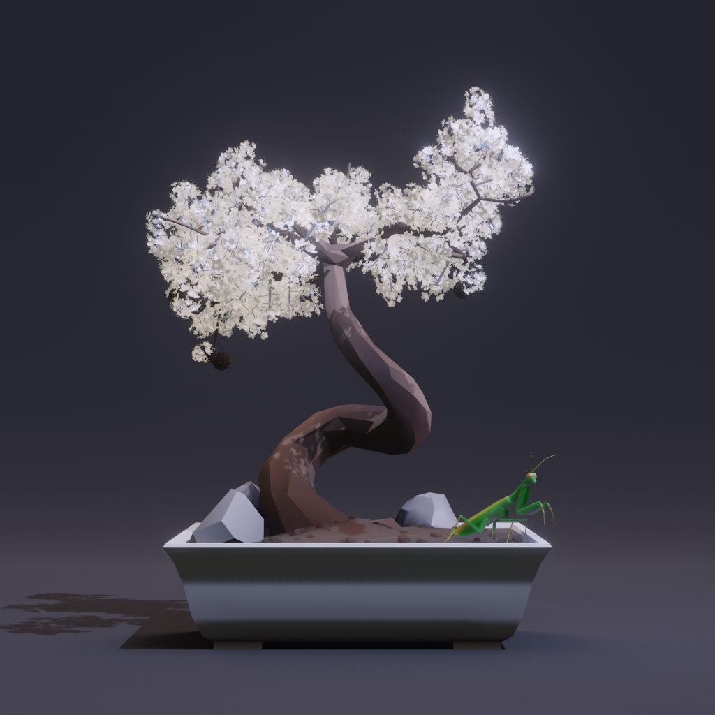 Bonsai #6260