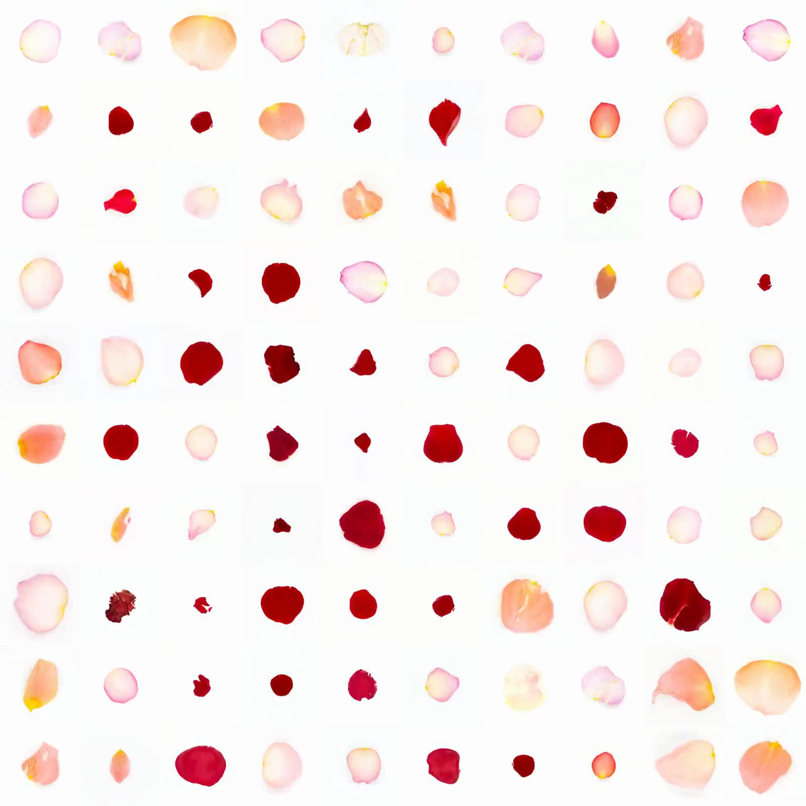 Infinite Petals 10x10#392