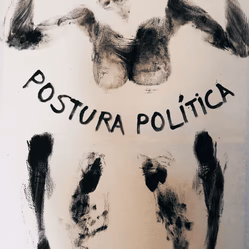 Political Stance