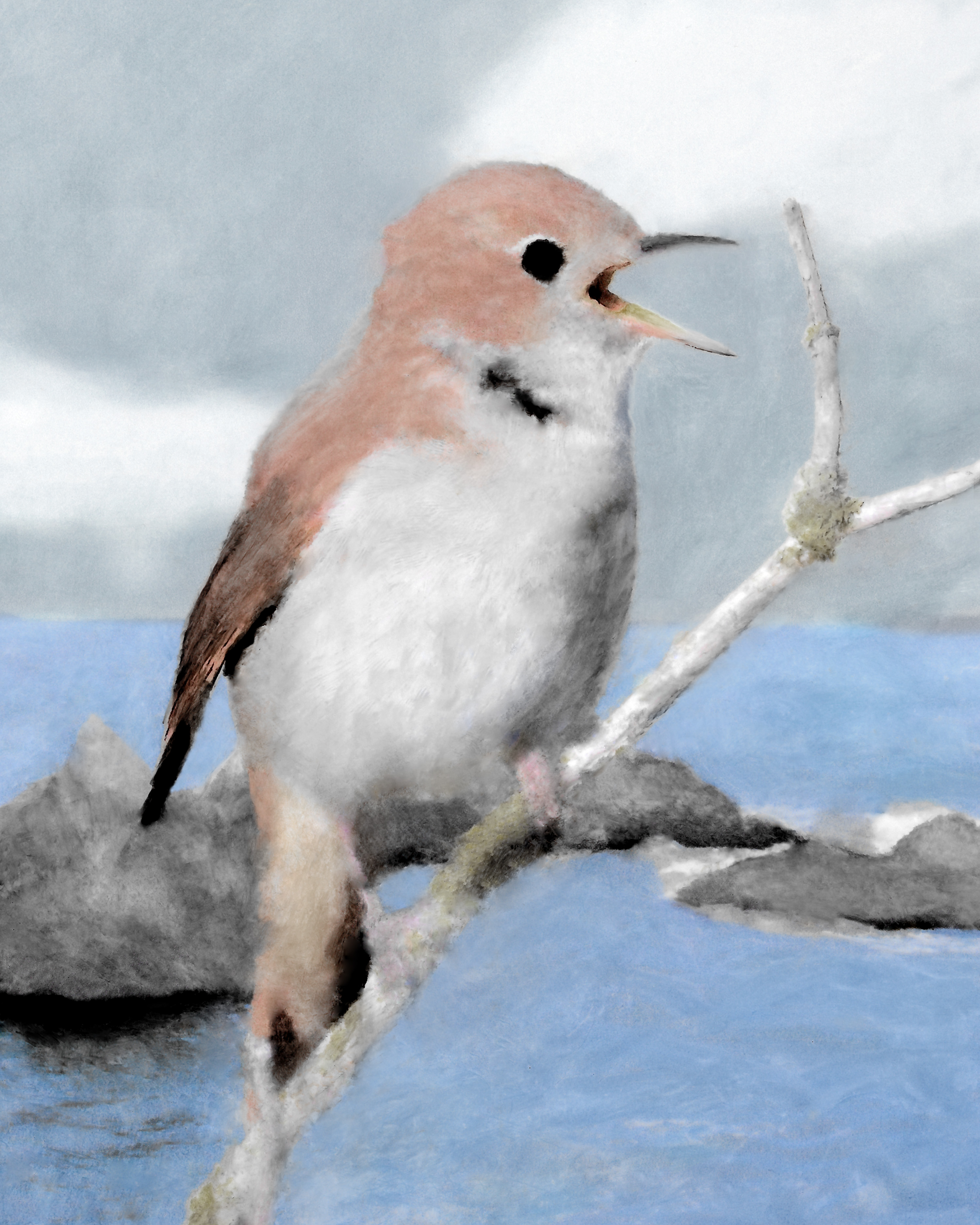Nightingale's Song
