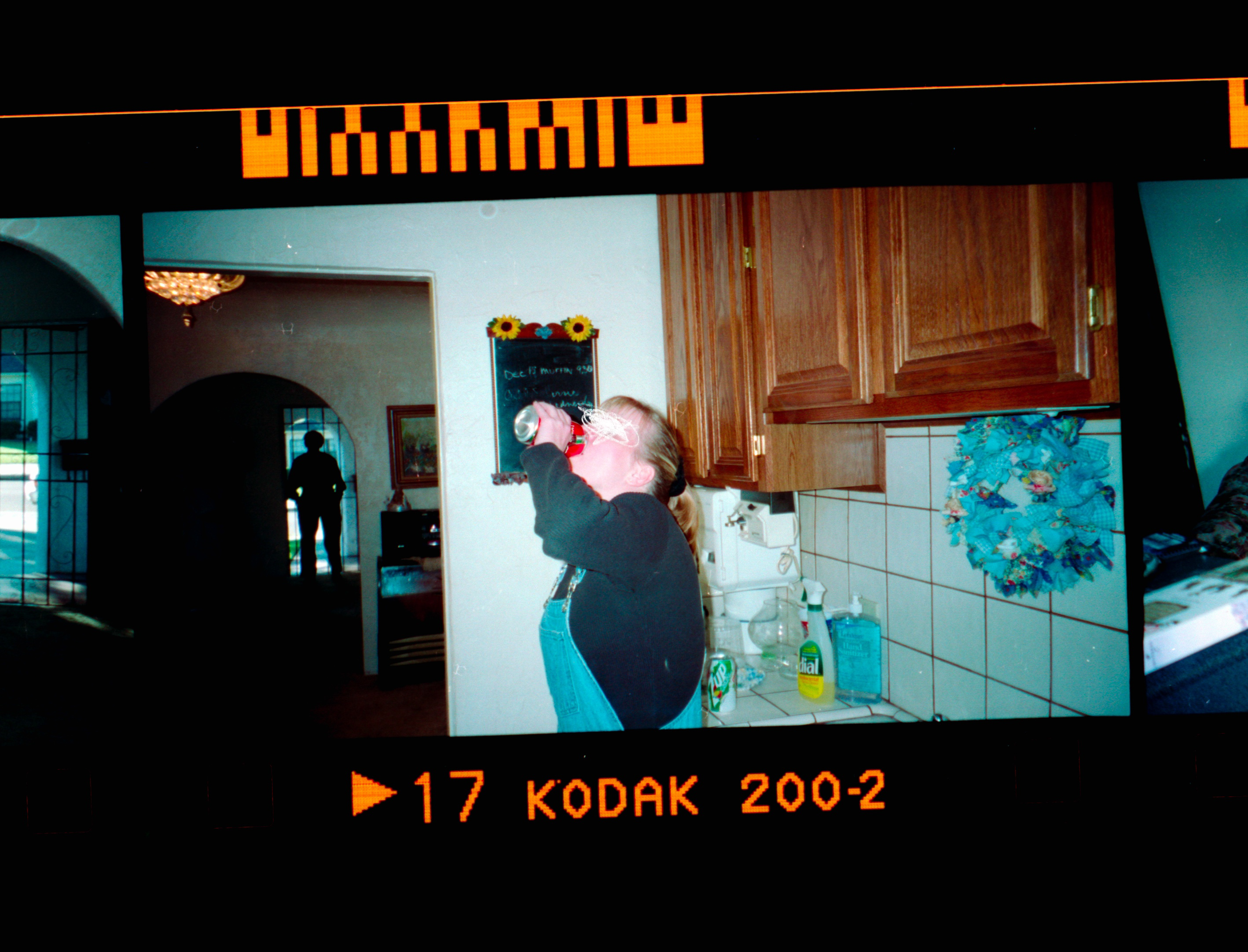Kodachrome #510