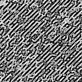 Noise #34 