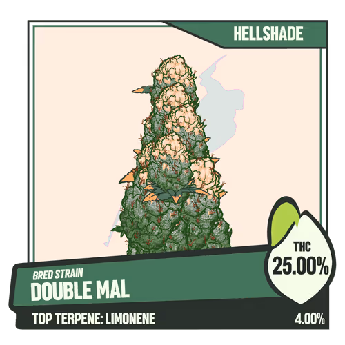 WEEDGANG.GAME - BRED STRAIN
