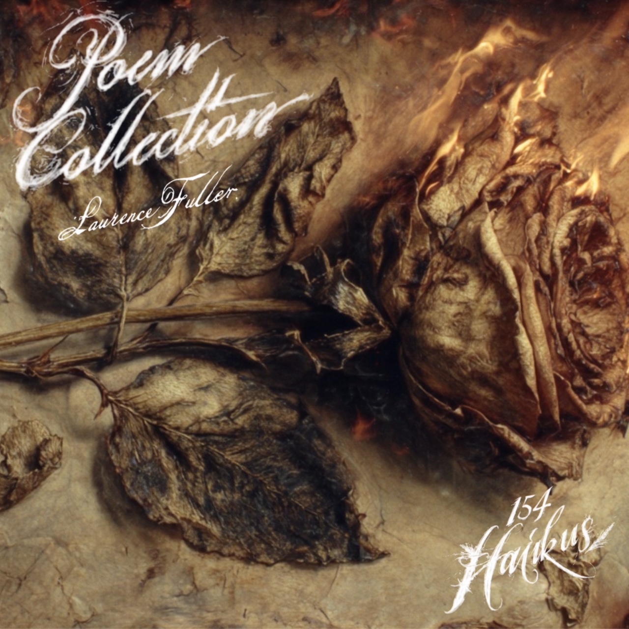 POEM Collection ~ Haikus