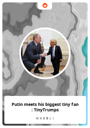 Putin meets his biggest tiny fan : TinyTrumps