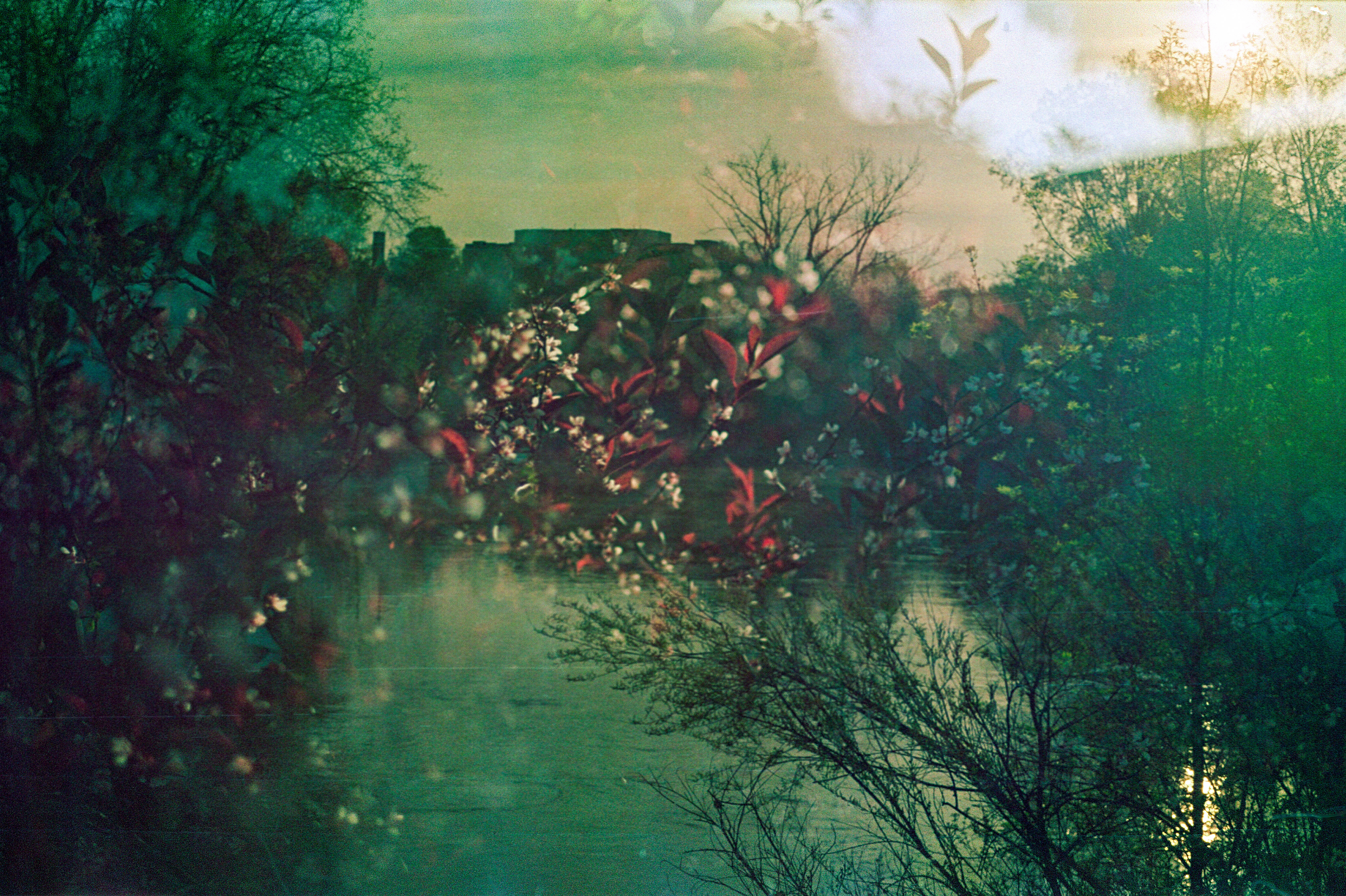 Eternal Glimpse #3/11