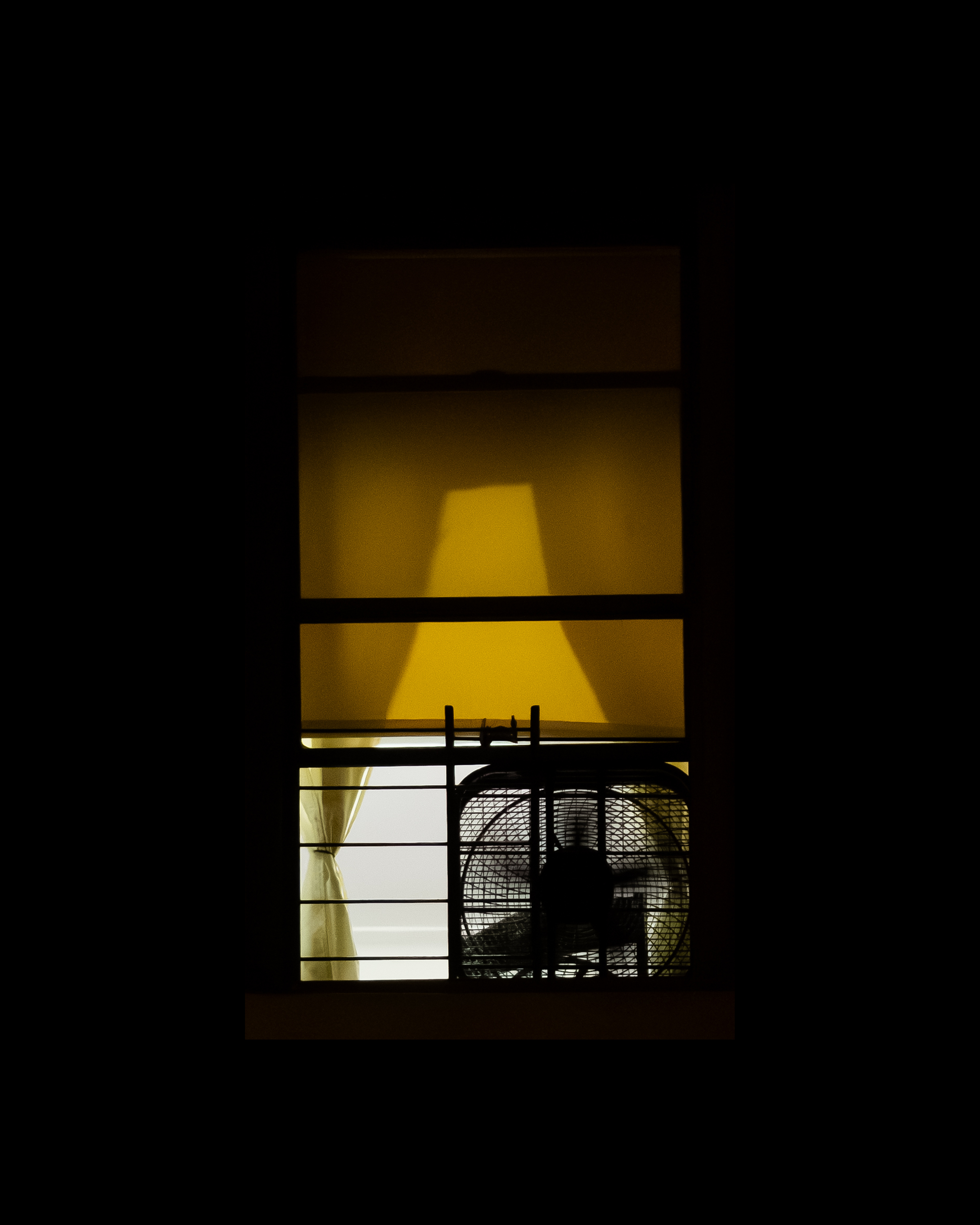 WINDOW 448