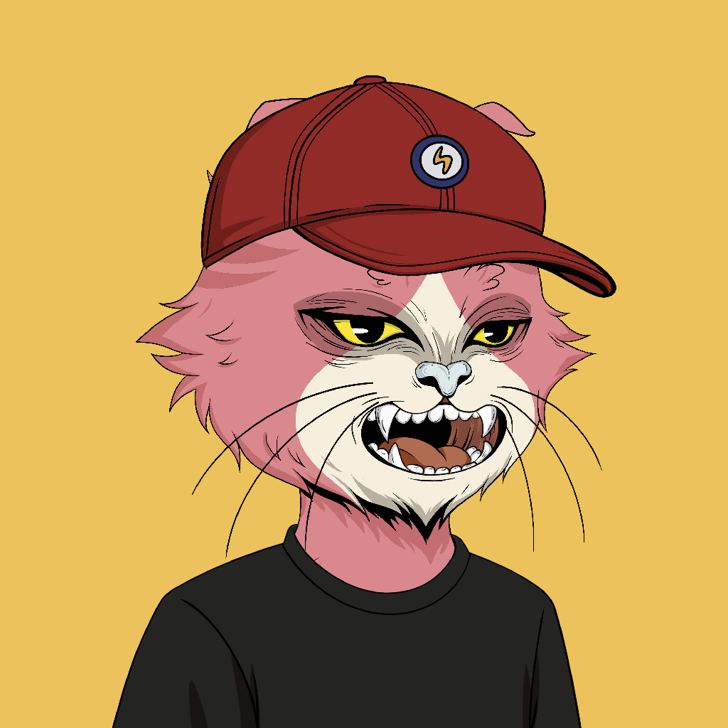 Not Angry Cat #1101