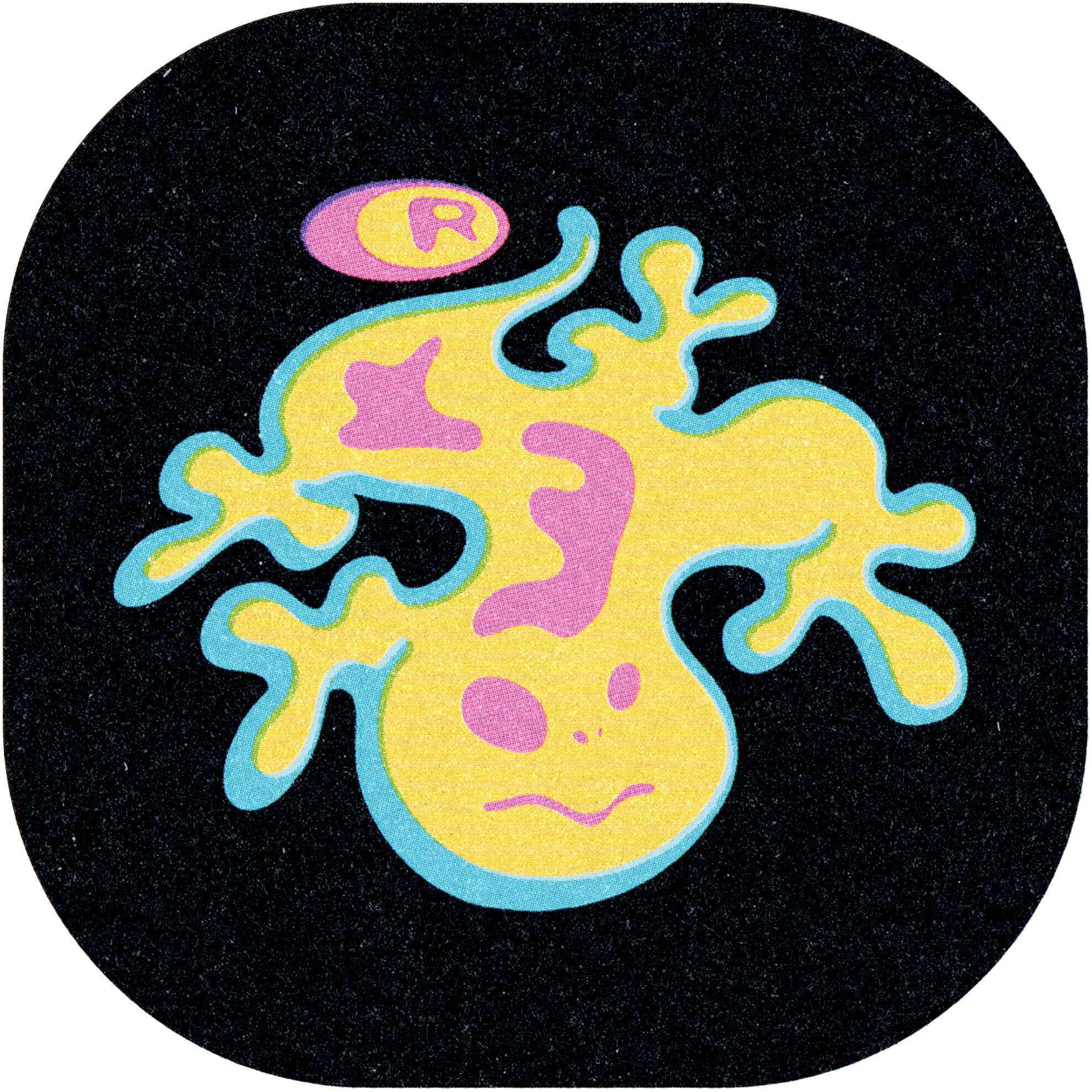 SALAMANDER 005