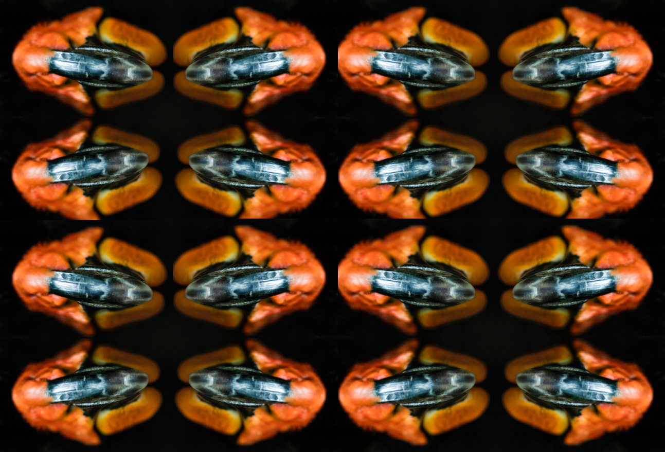 BB3