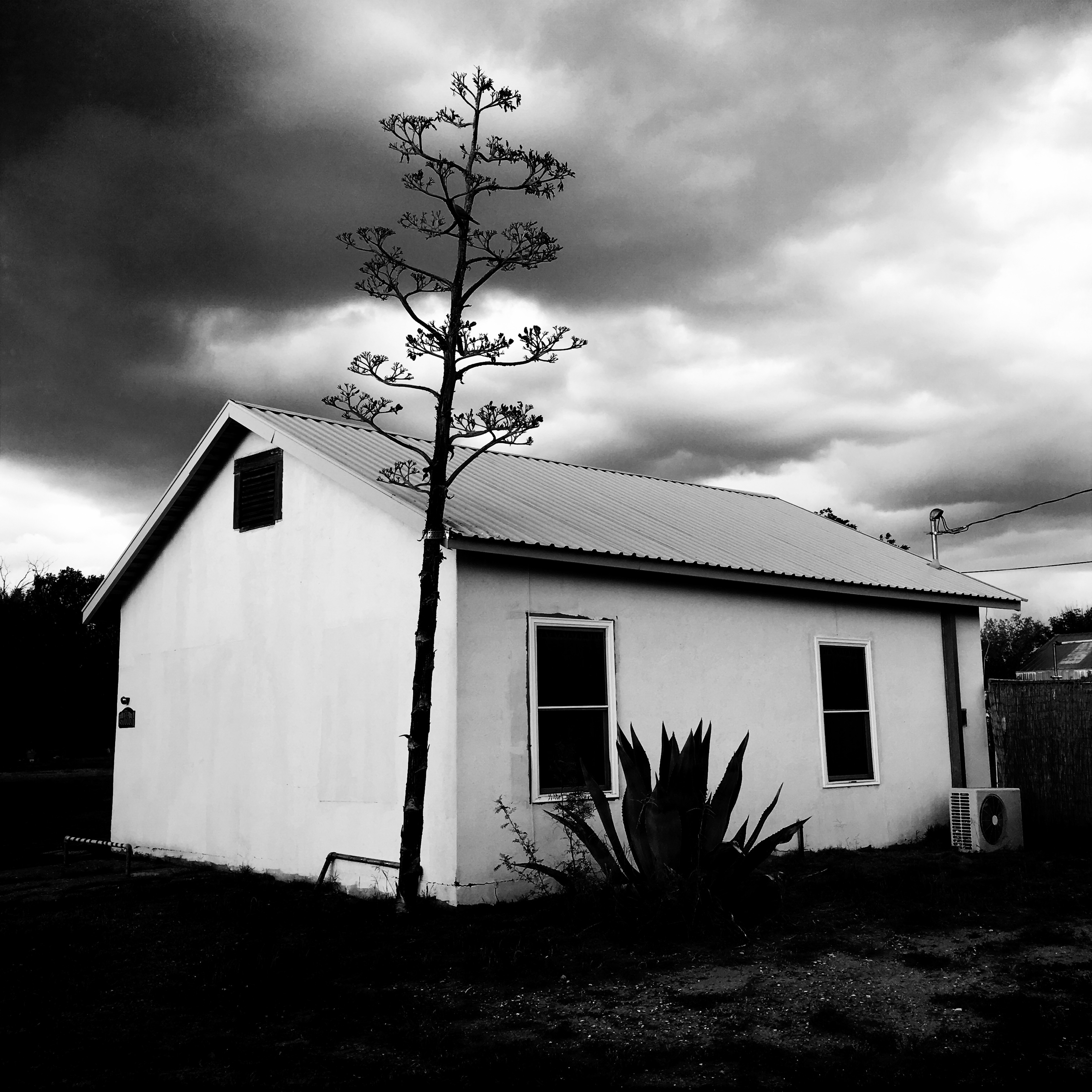 The Studio