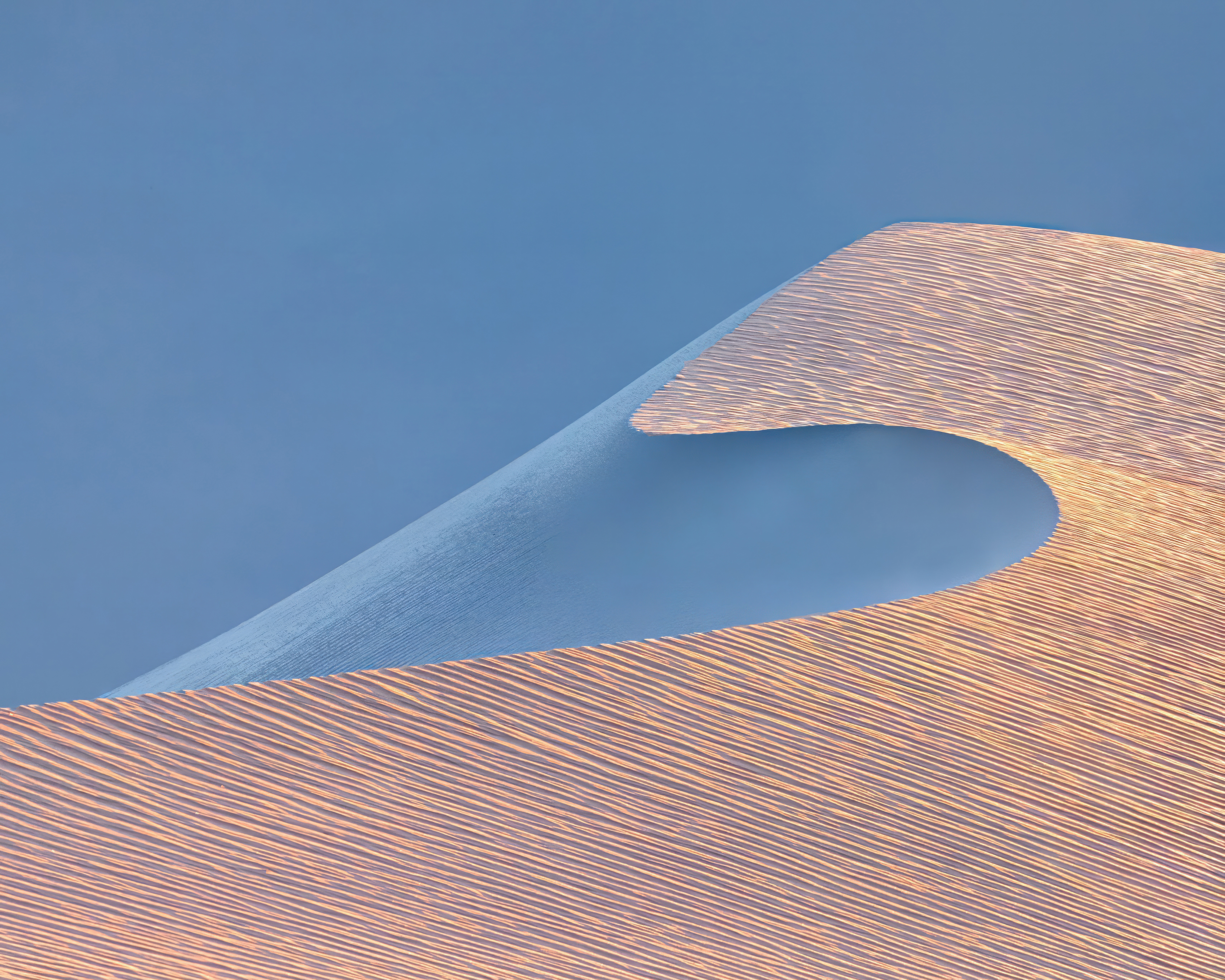 The Wave
