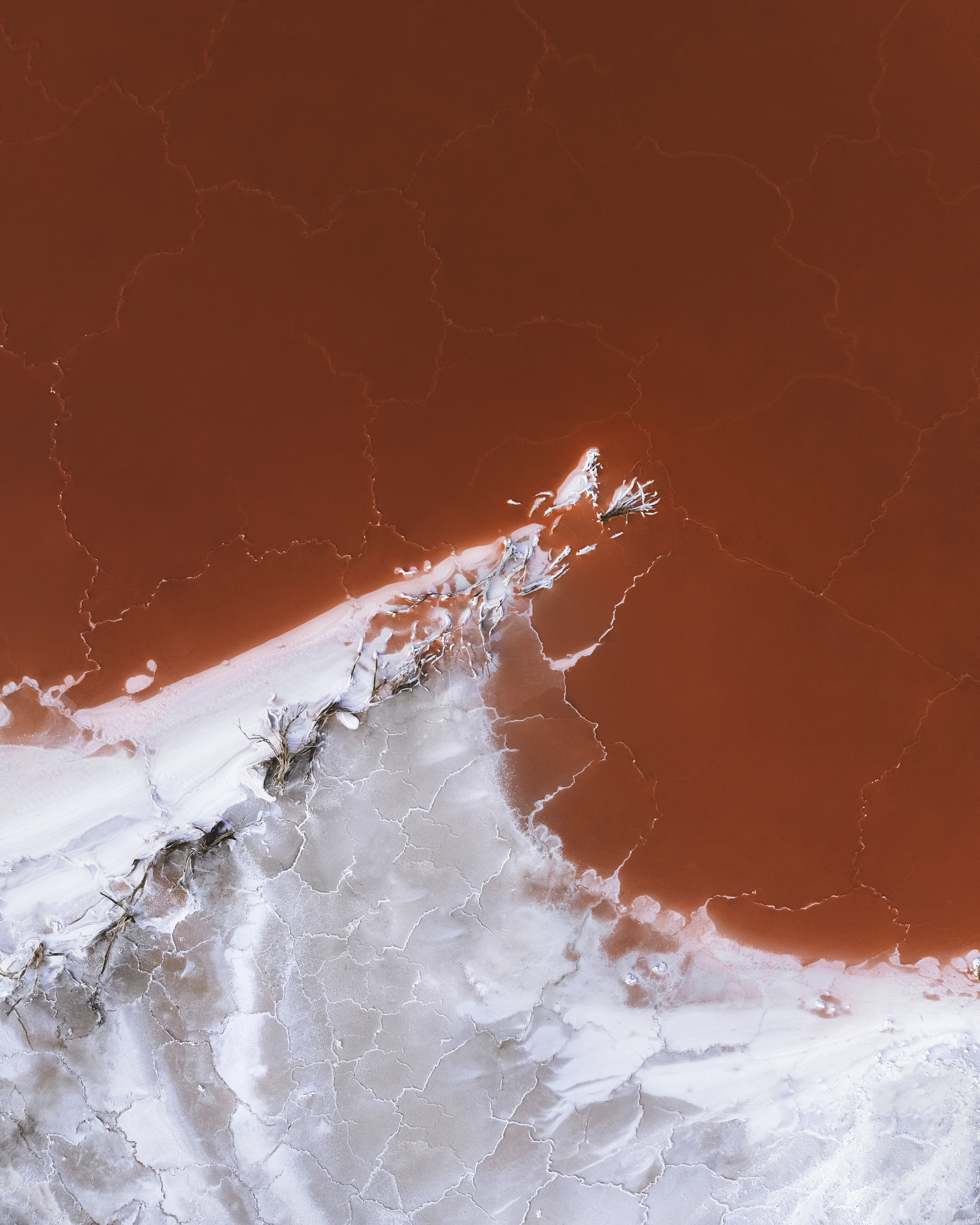 Tsunami