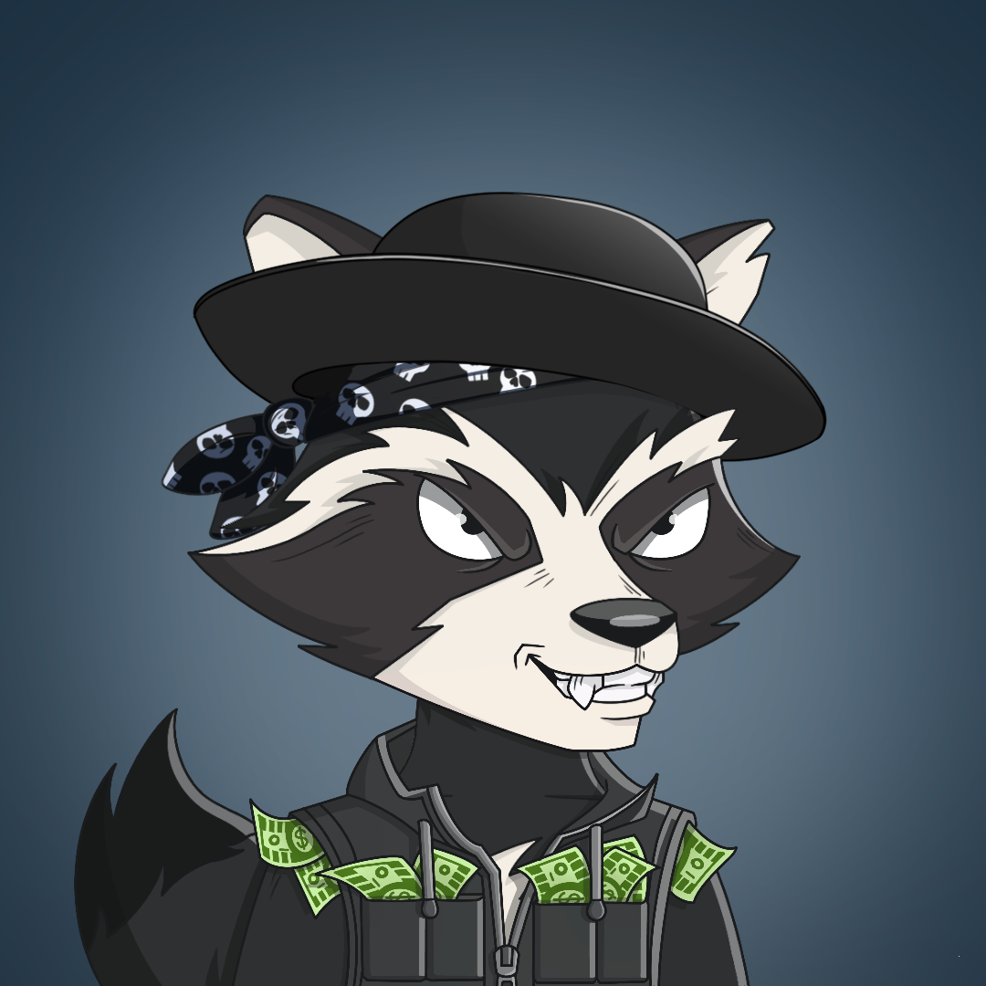 Raccoon Mafia #1701