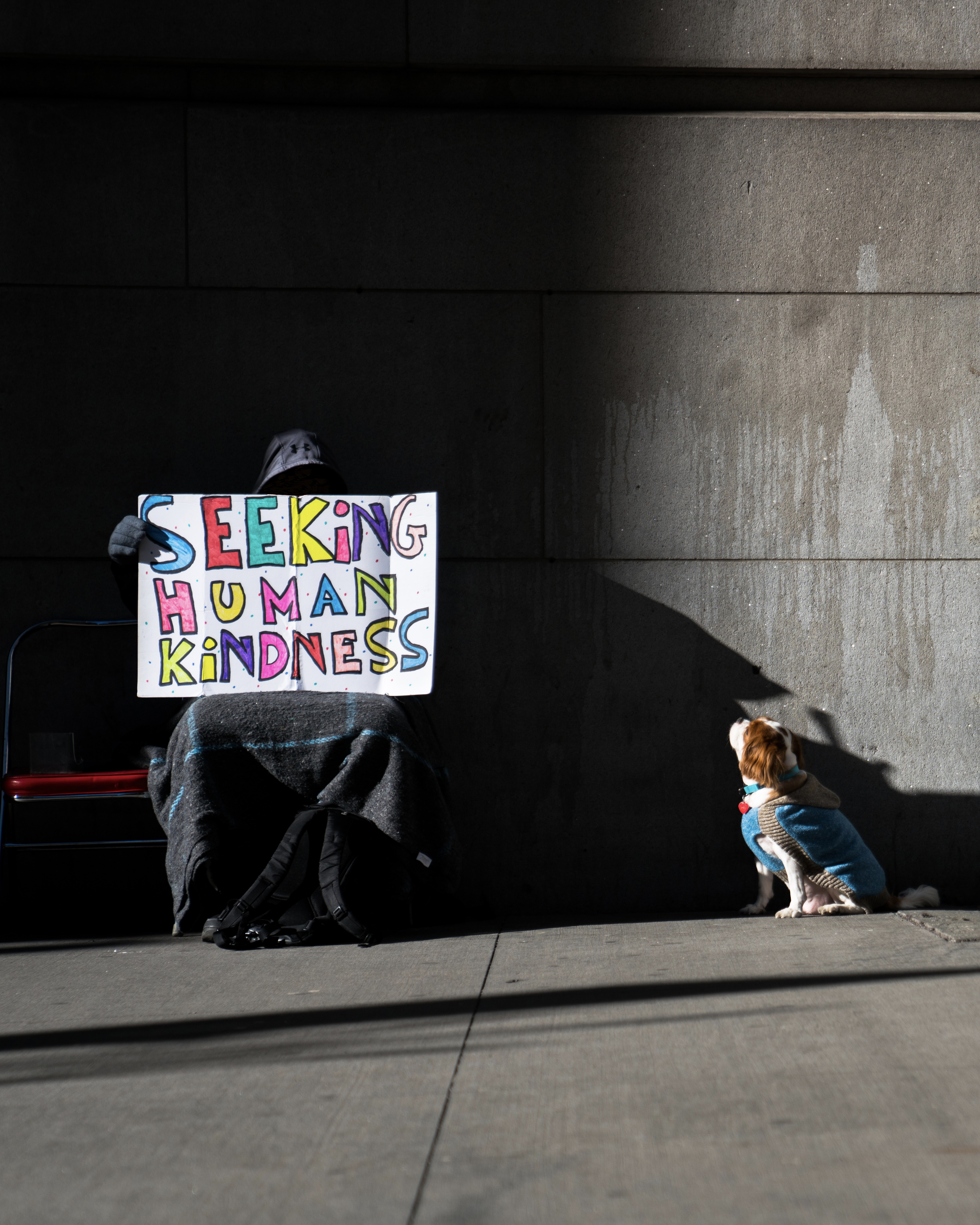 Seeking Human Kindness  #4/15