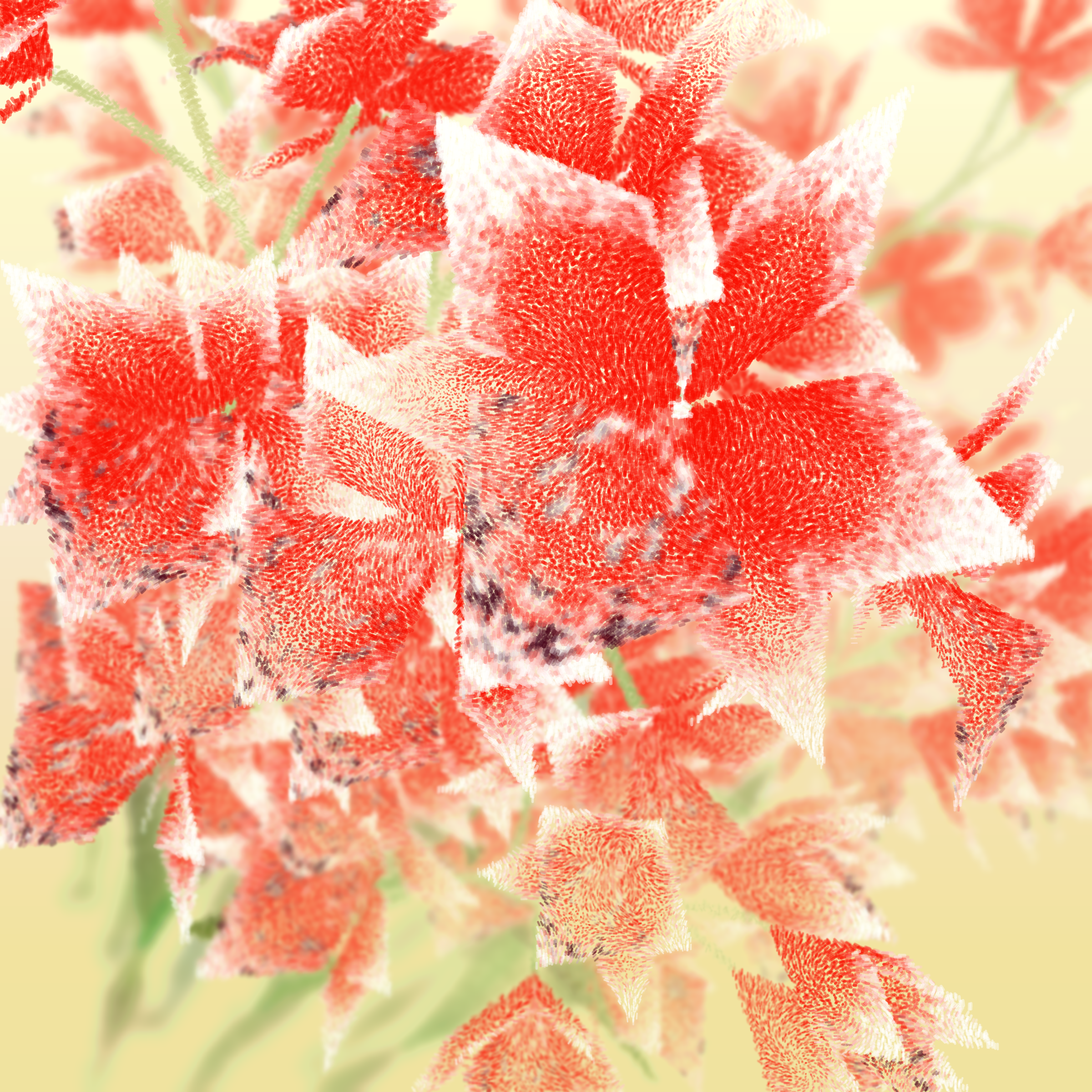 Cattleya #0