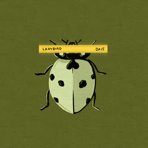 Ladybird Driew (DA15)