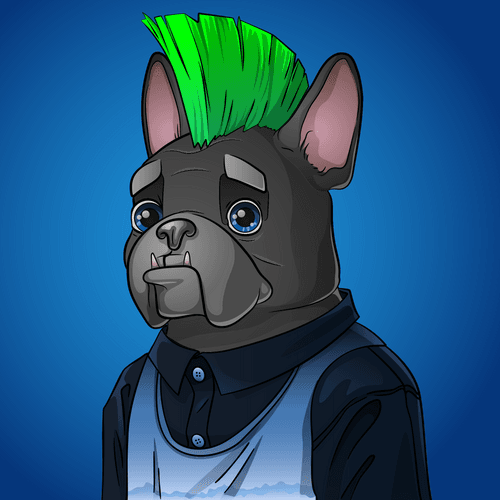 Bohemian Bulldog #1658