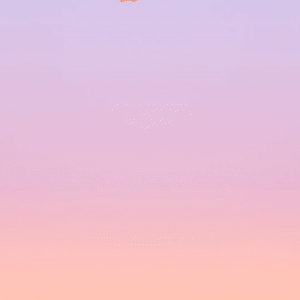 021610050704070801