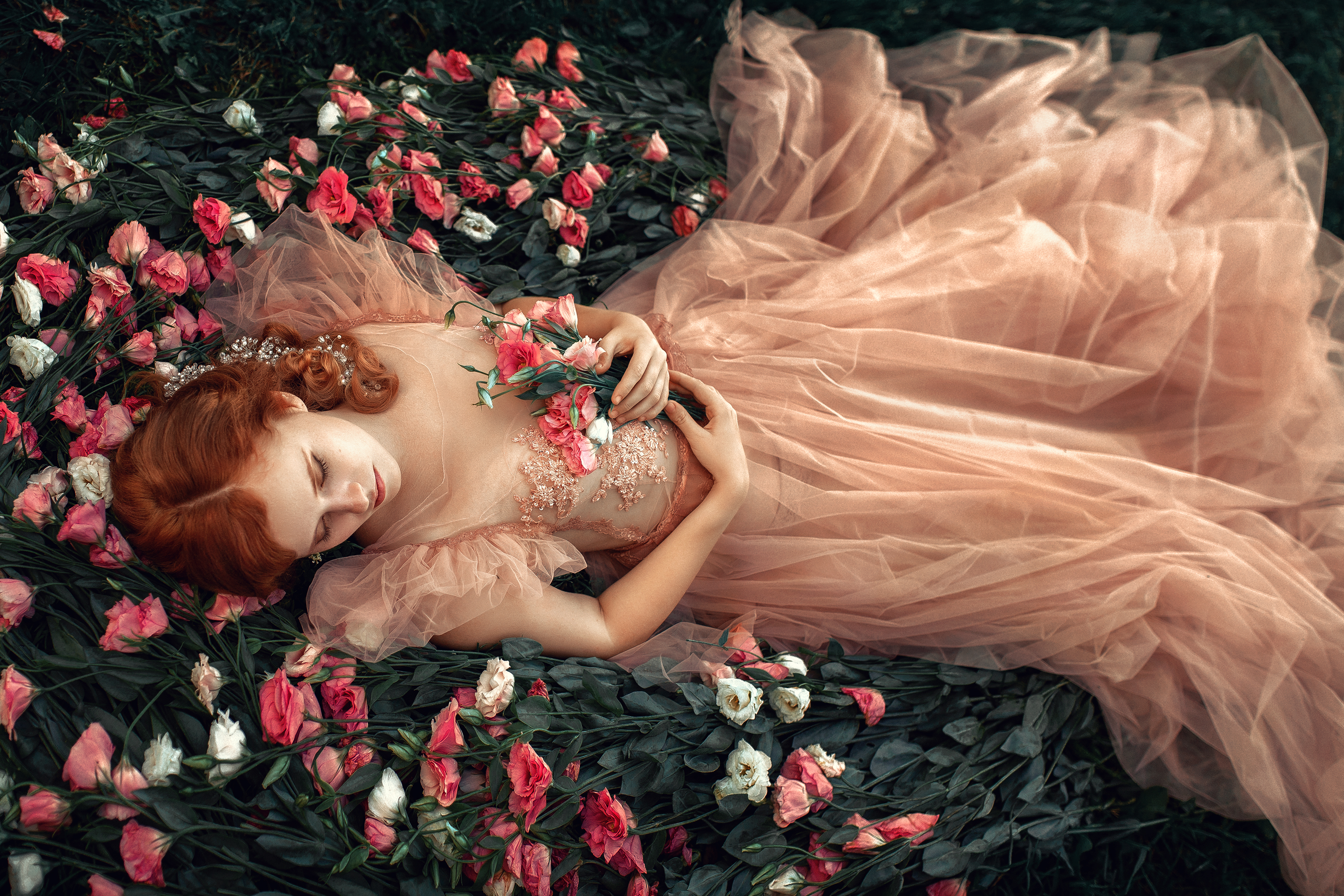 Dreamland