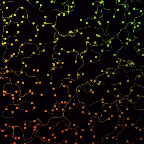 Flow Fields #6