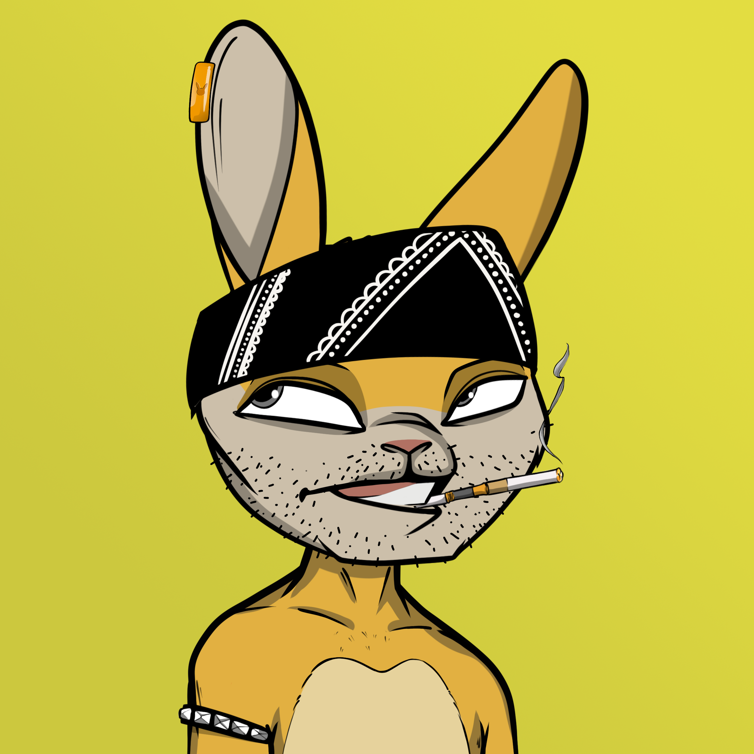 Mad Rabbit #2727