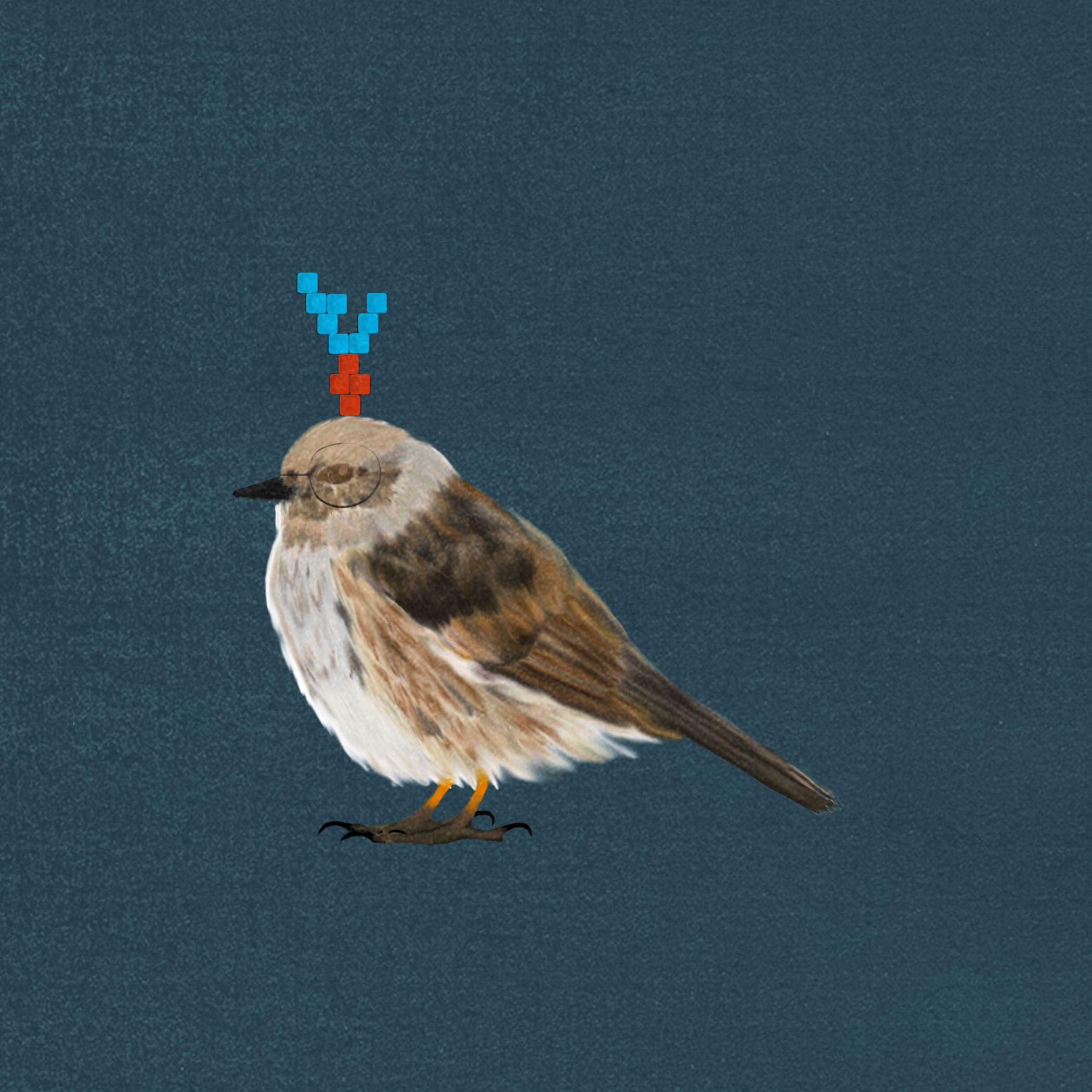 entr'acte. particular bird one.