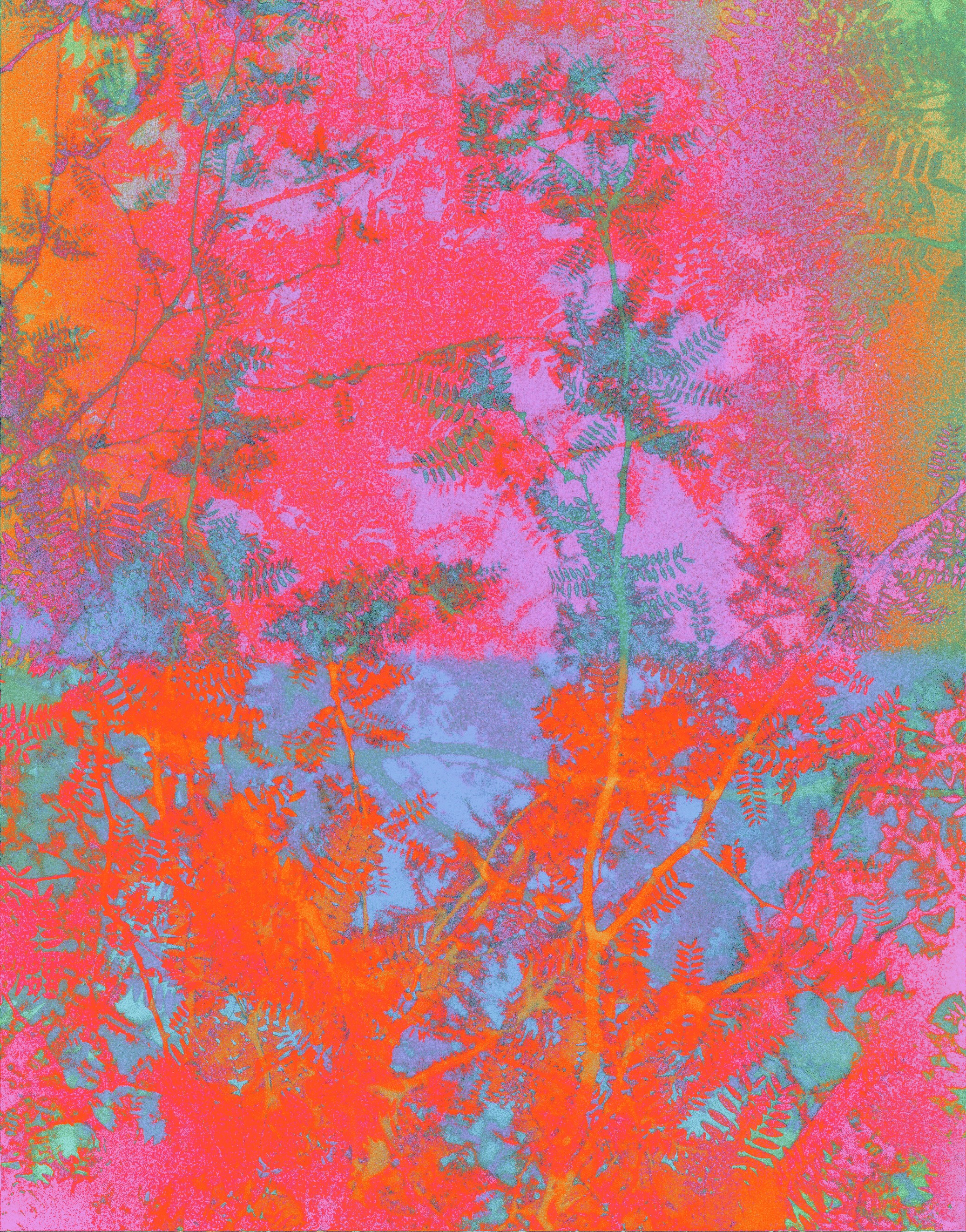 FRACTAL MIND 
