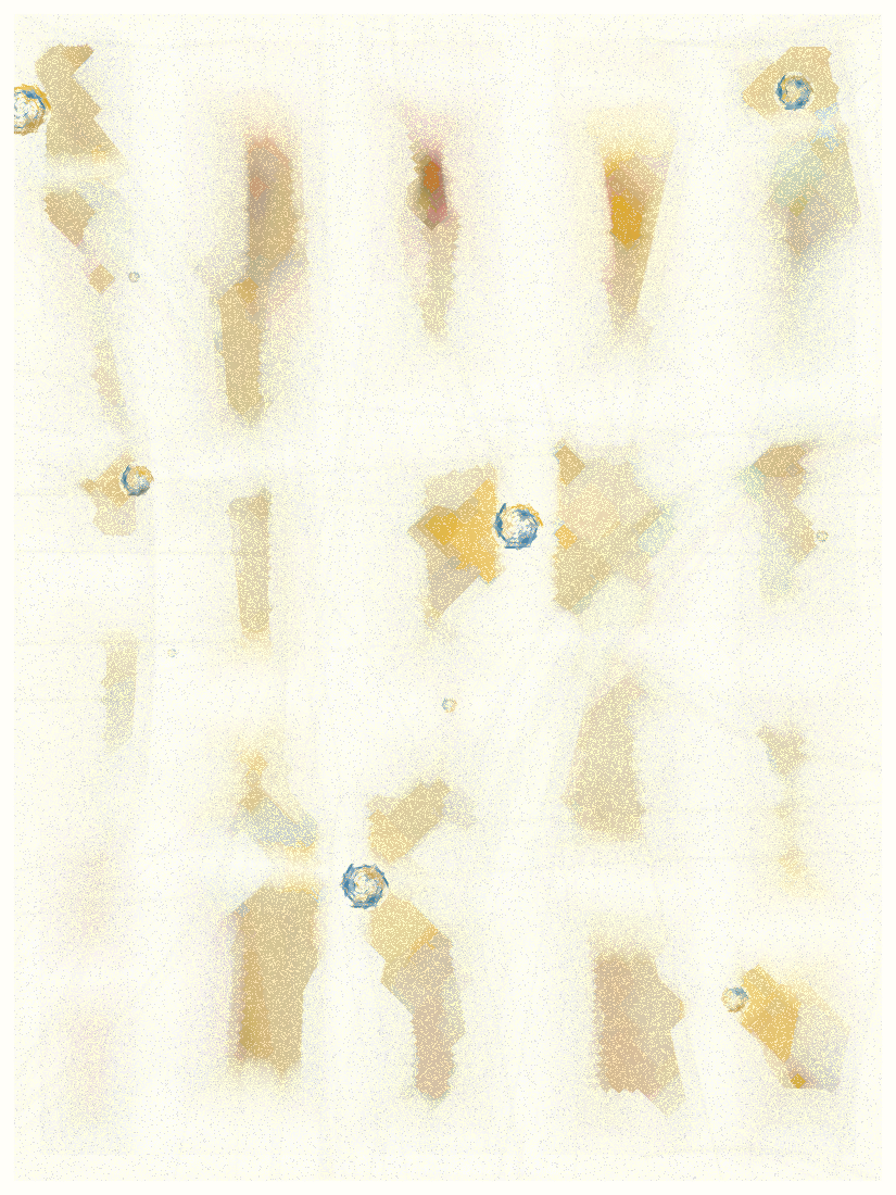 SKY MEADOW #37