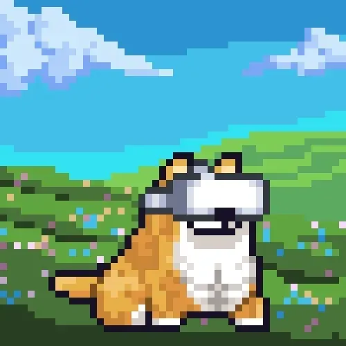 Space Shibe