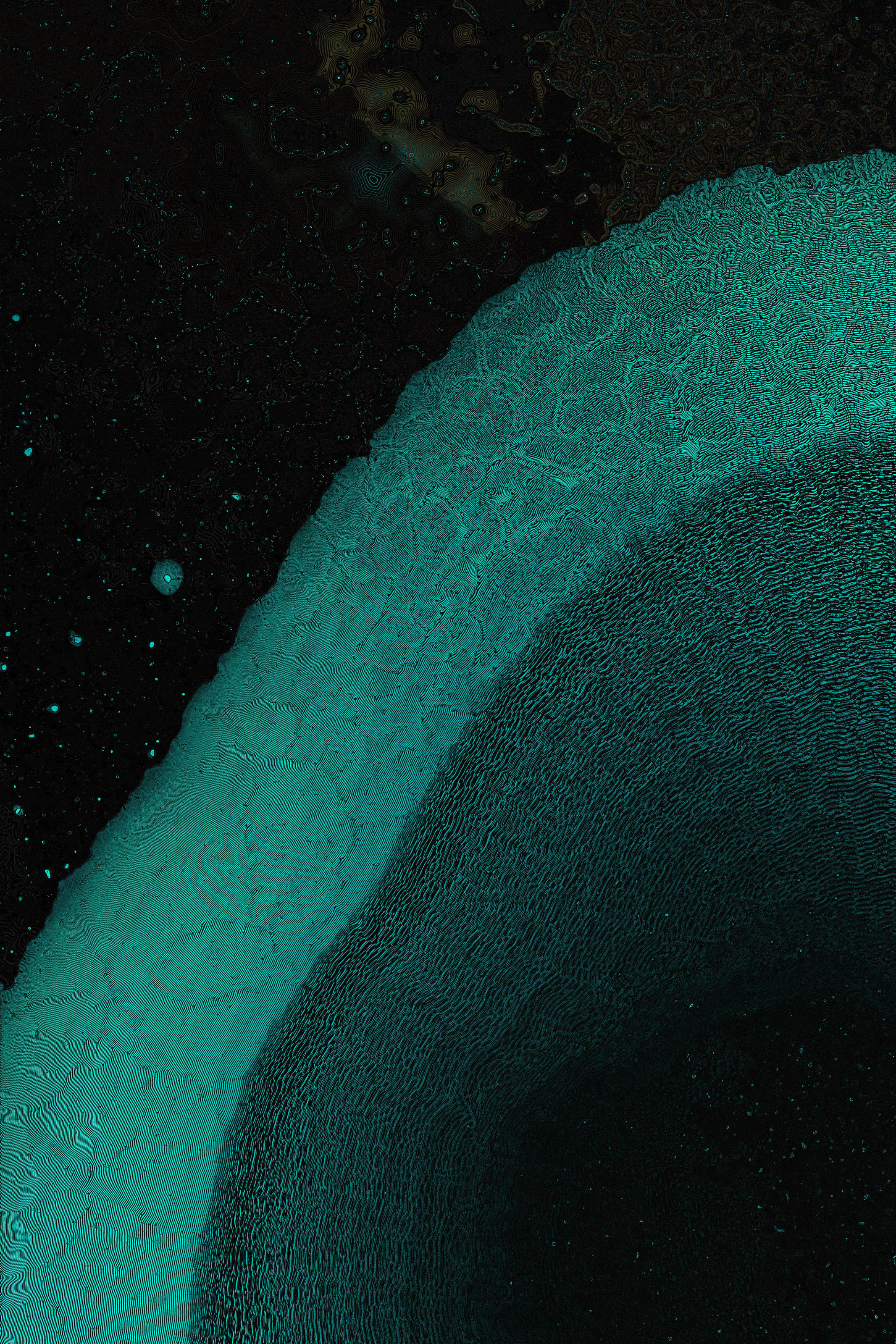 Dactylogram #83