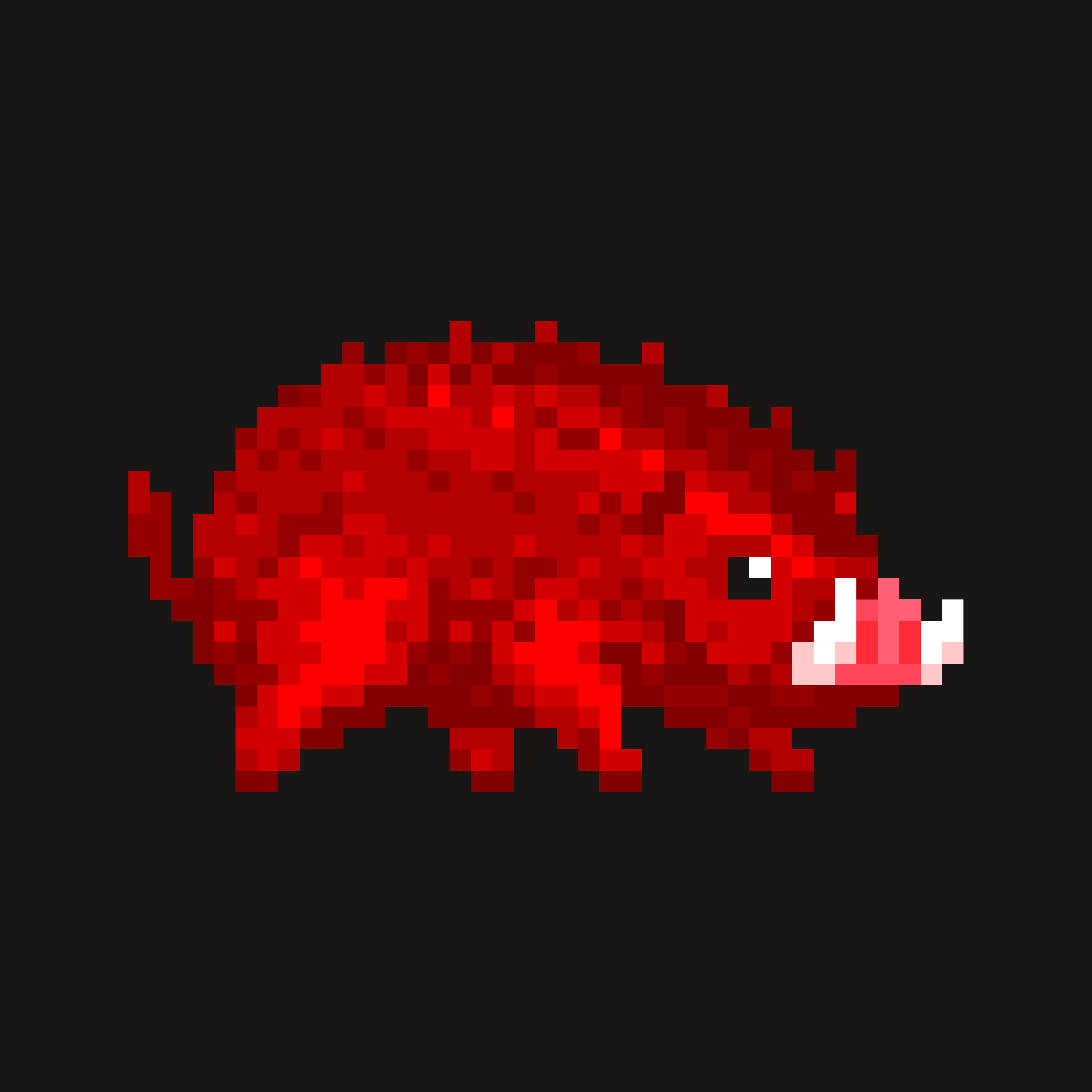 SaltPig #18